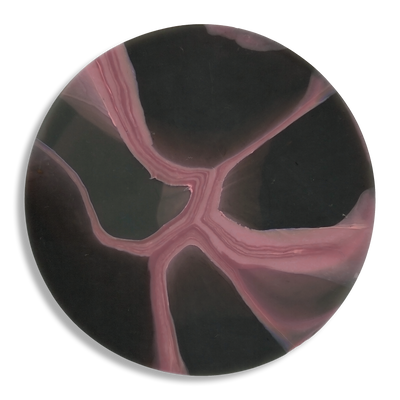 MYCELIUM PINK 5.png