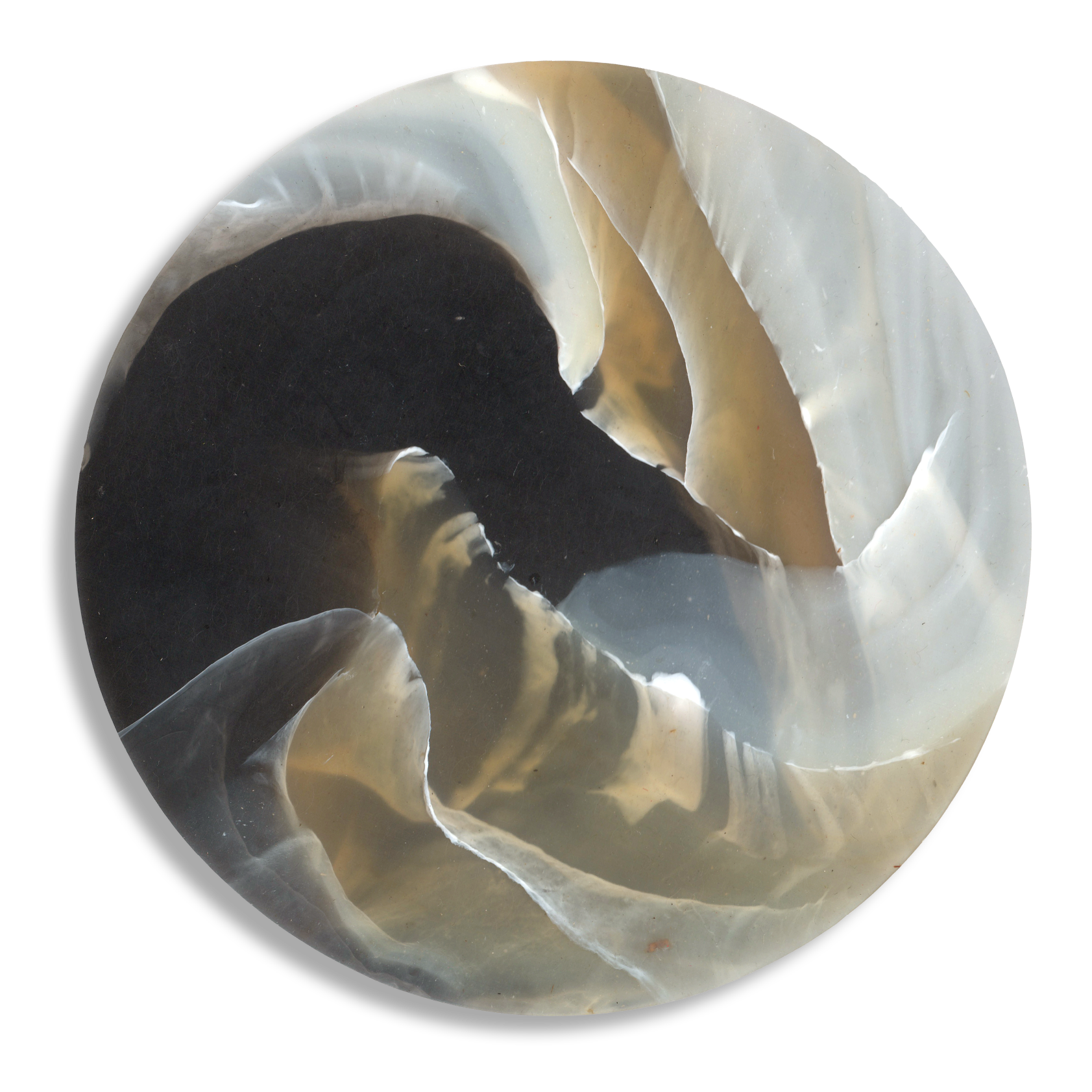 TORTOISESHELL CARAMEL 4.png