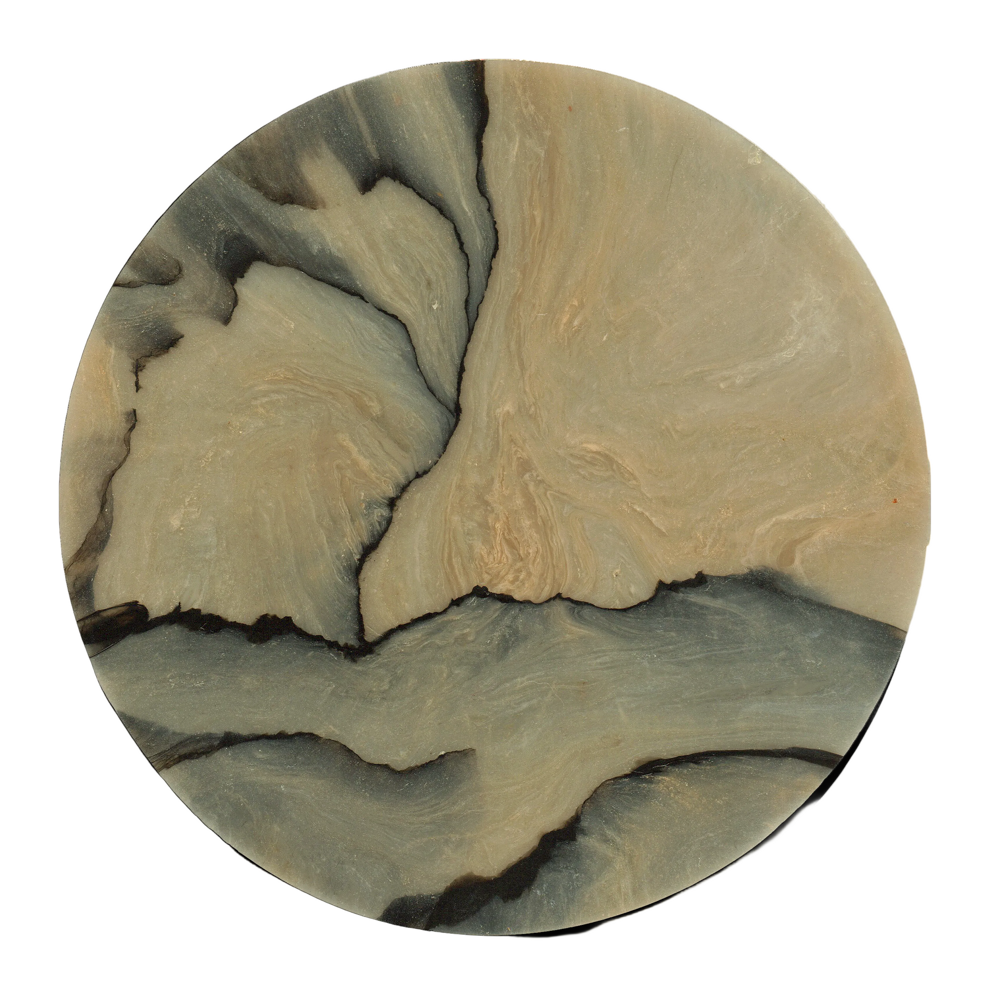 SPALTED BIRCH COASTER 5.png