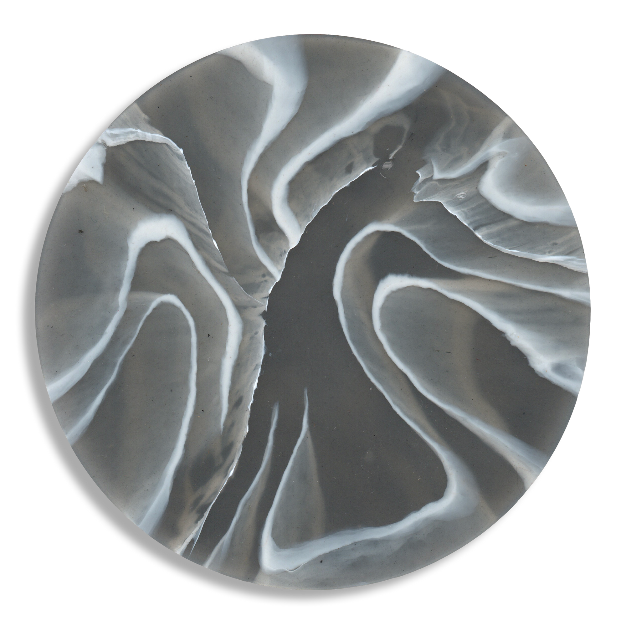 COASTER - RIPPLE - SEAL 4.png