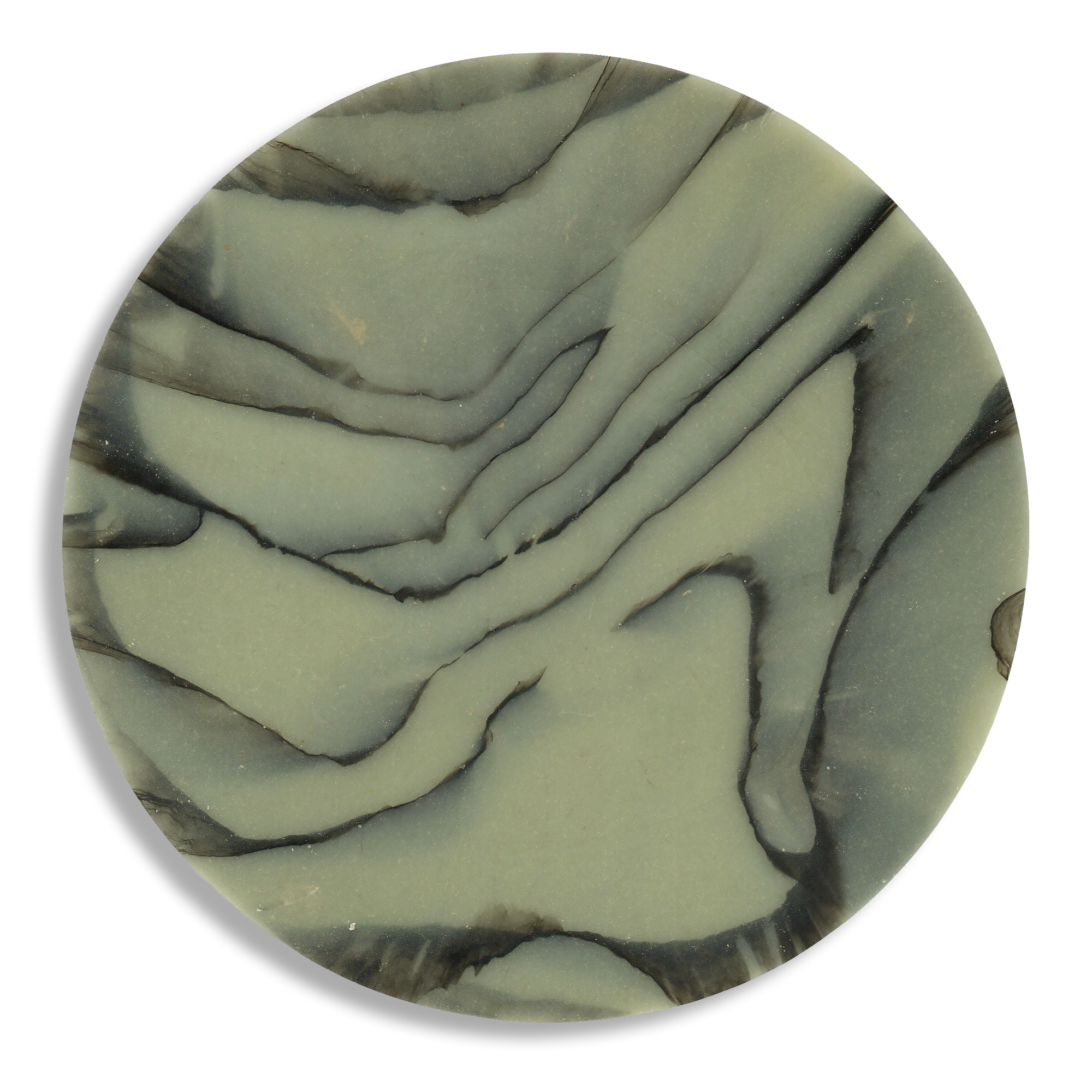 SPALTED WILLOW COASTER 1.png