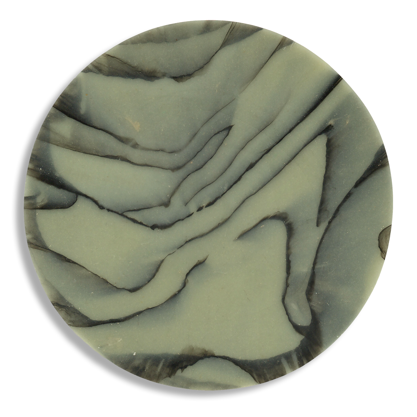 SPALTED WILLOW COASTER 1.png