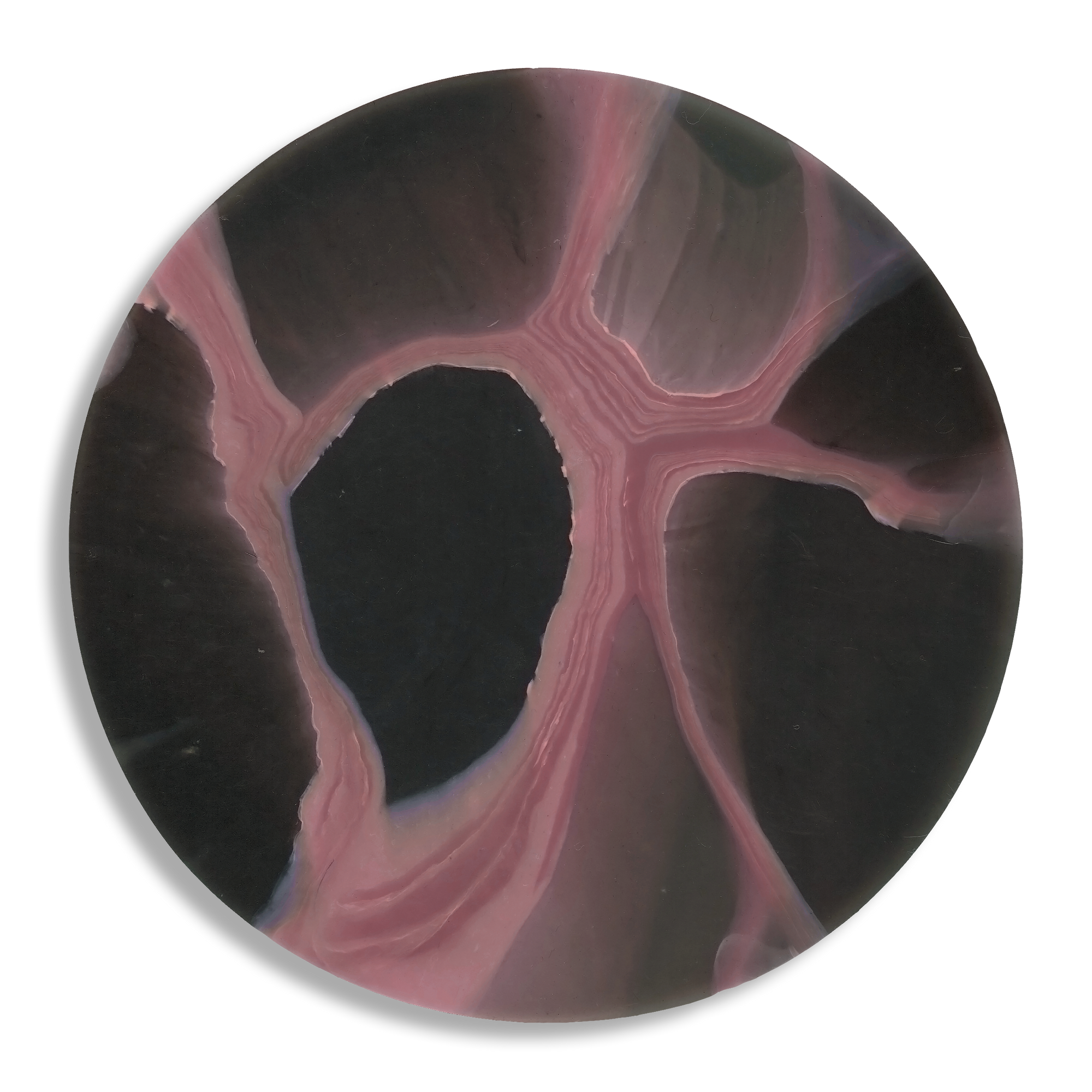 MYCELIUM PINK 6.png