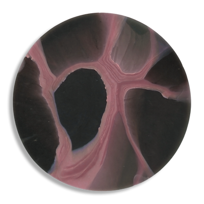 MYCELIUM PINK 6.png