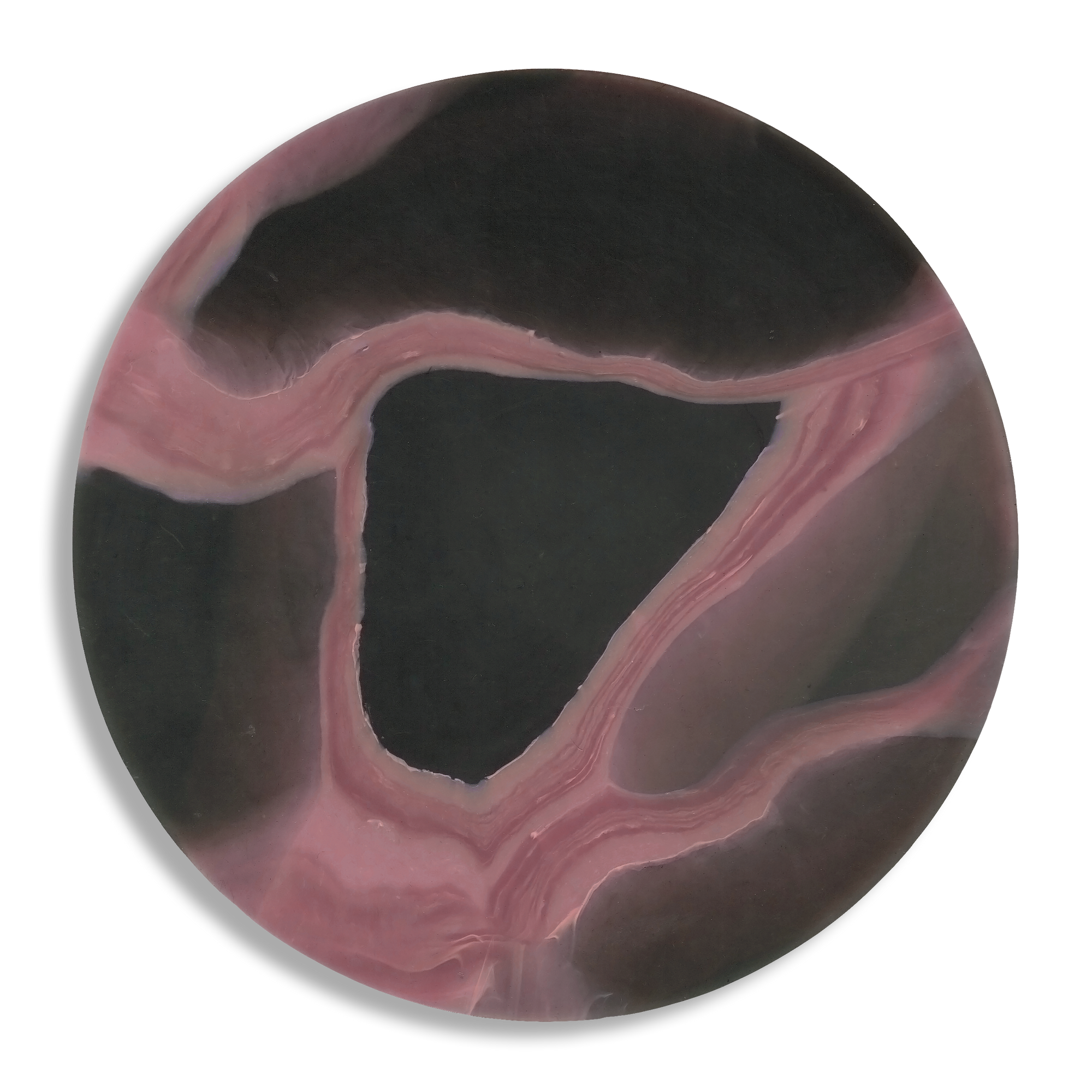 MYCELIUM PINK 1.png