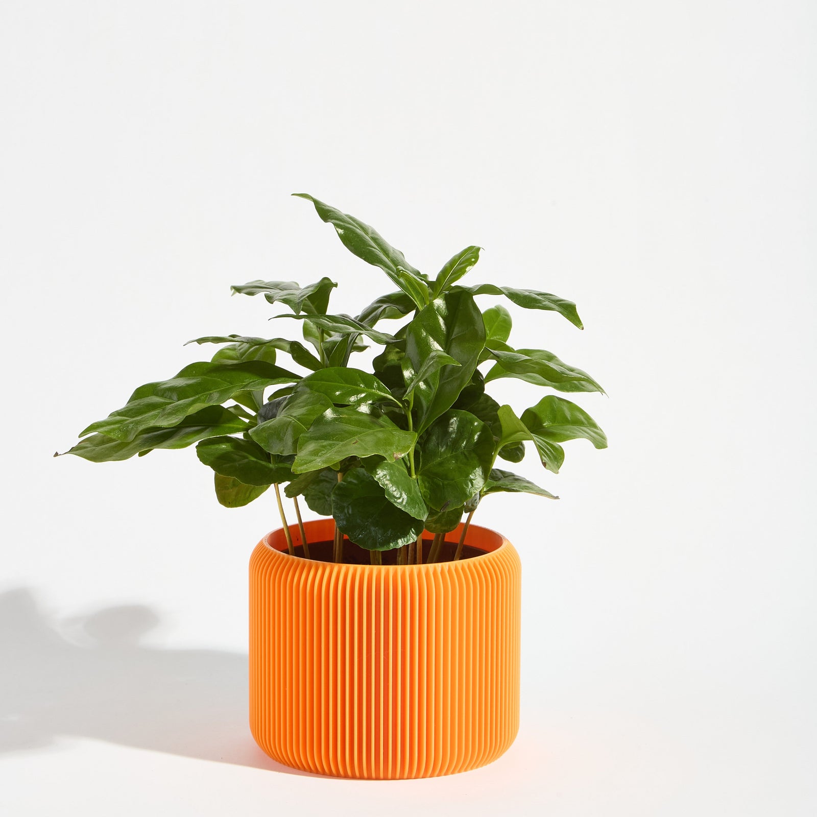 Turbin Plant Pot - Tangerine Orange