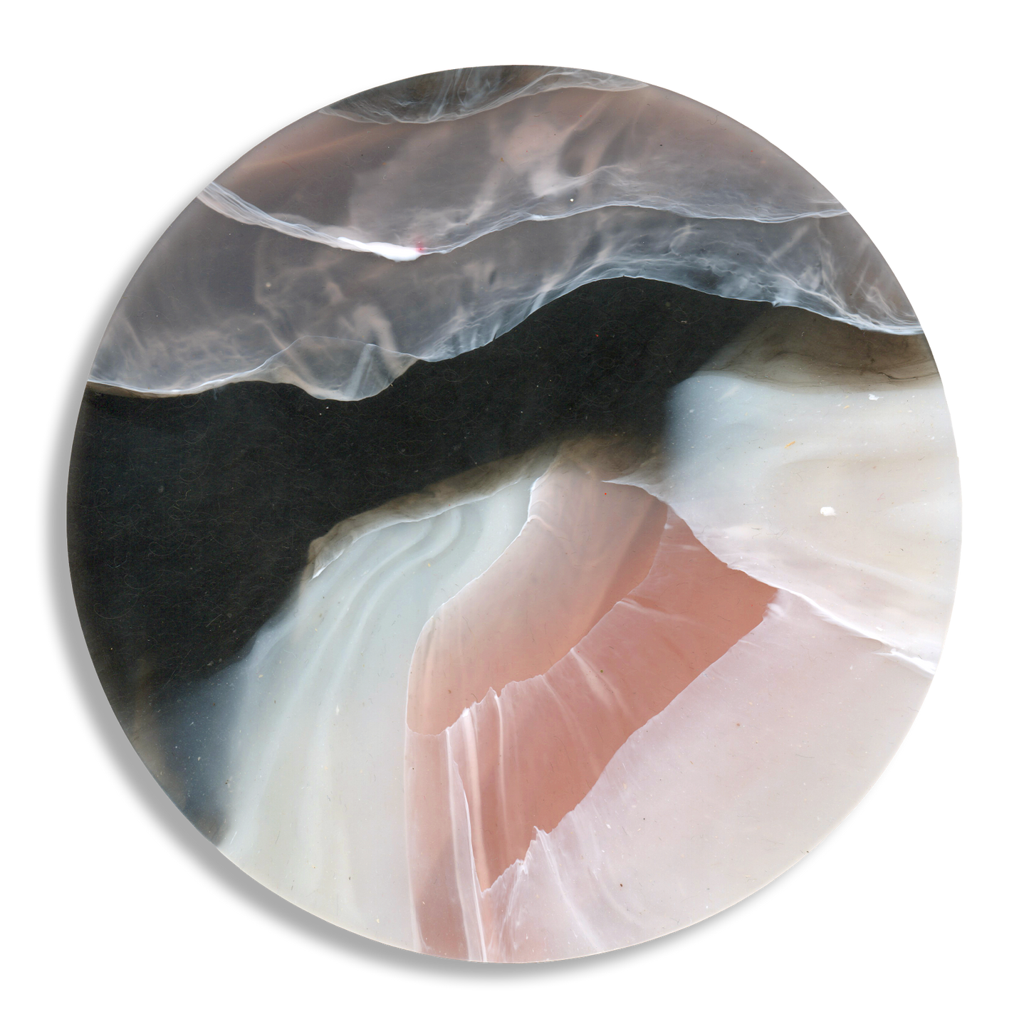 TORTOISESHELL ROSE QUARTZ 5.png