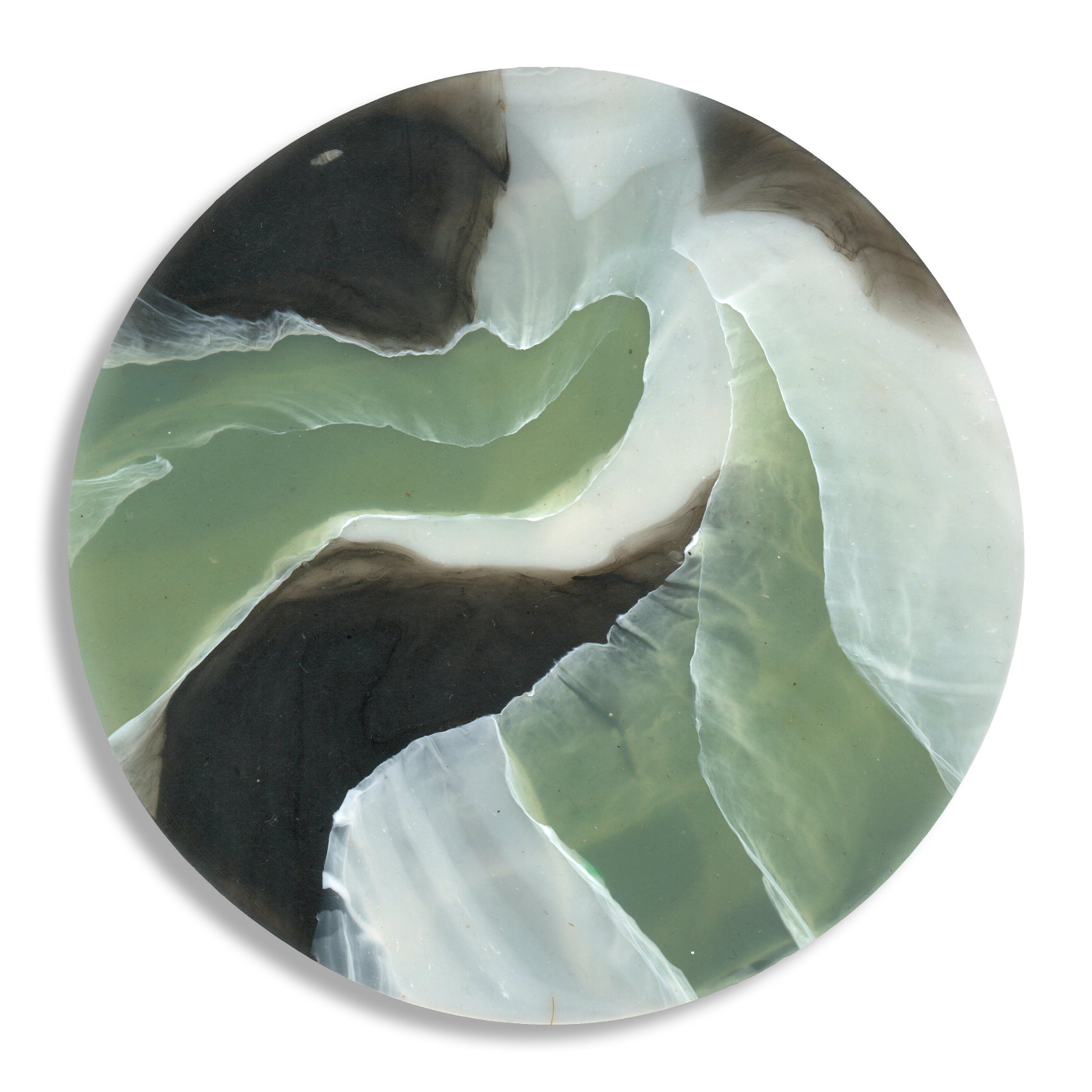 TORTOISESHELL SAGE 5.png
