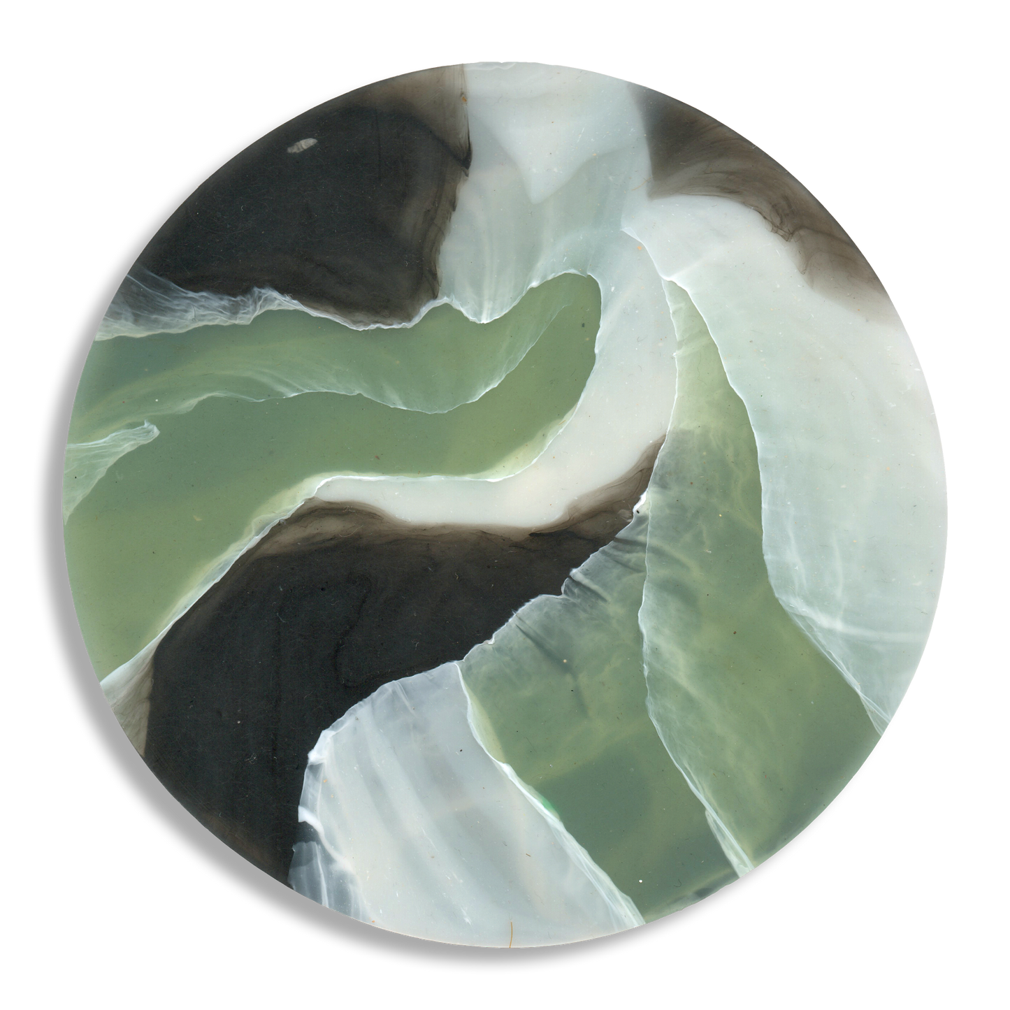 TORTOISESHELL SAGE 5.png