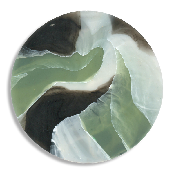 TORTOISESHELL SAGE 5.png