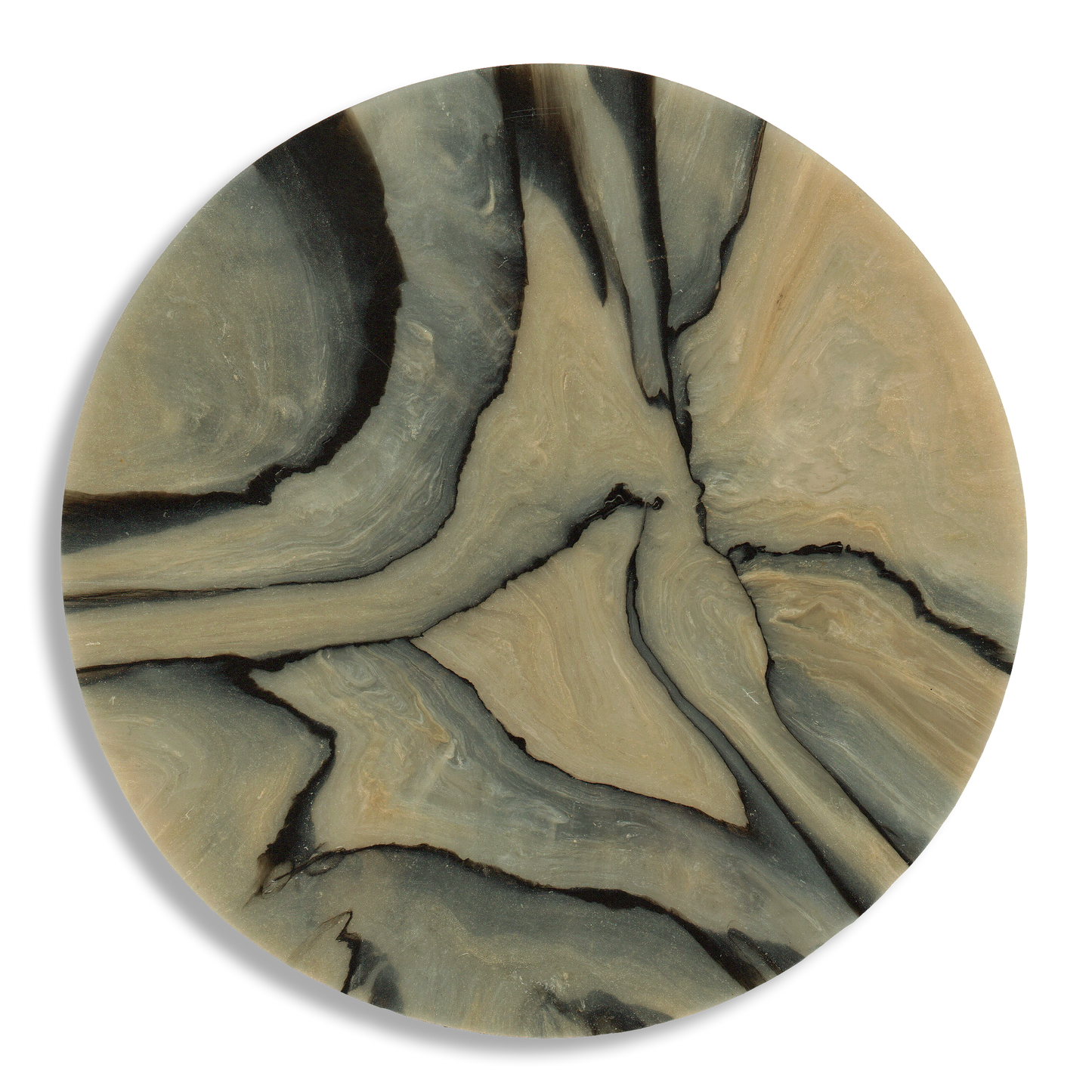SPALTED BIRCH COASTER 4.png