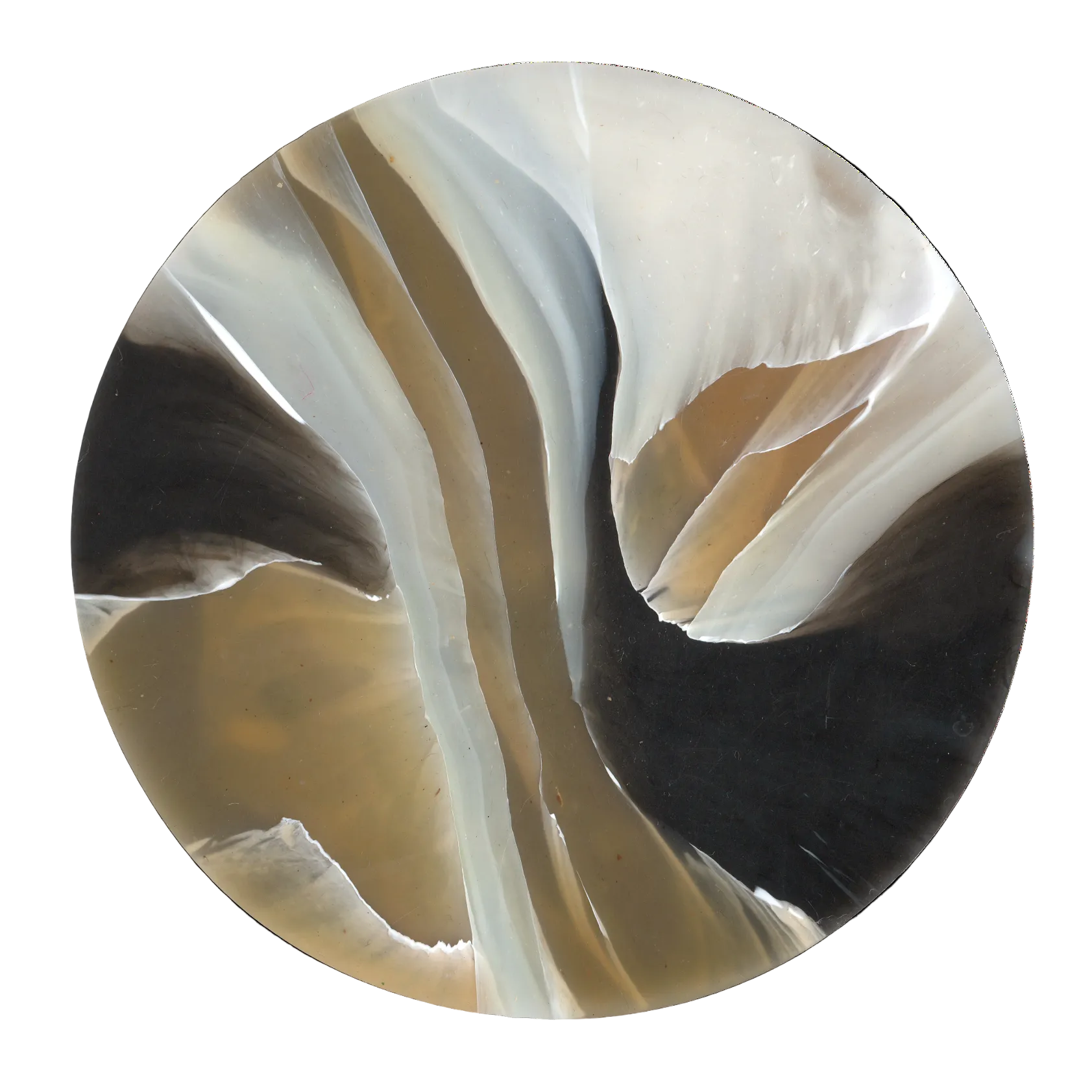 TORTOISESHELL CARAMEL 6.png