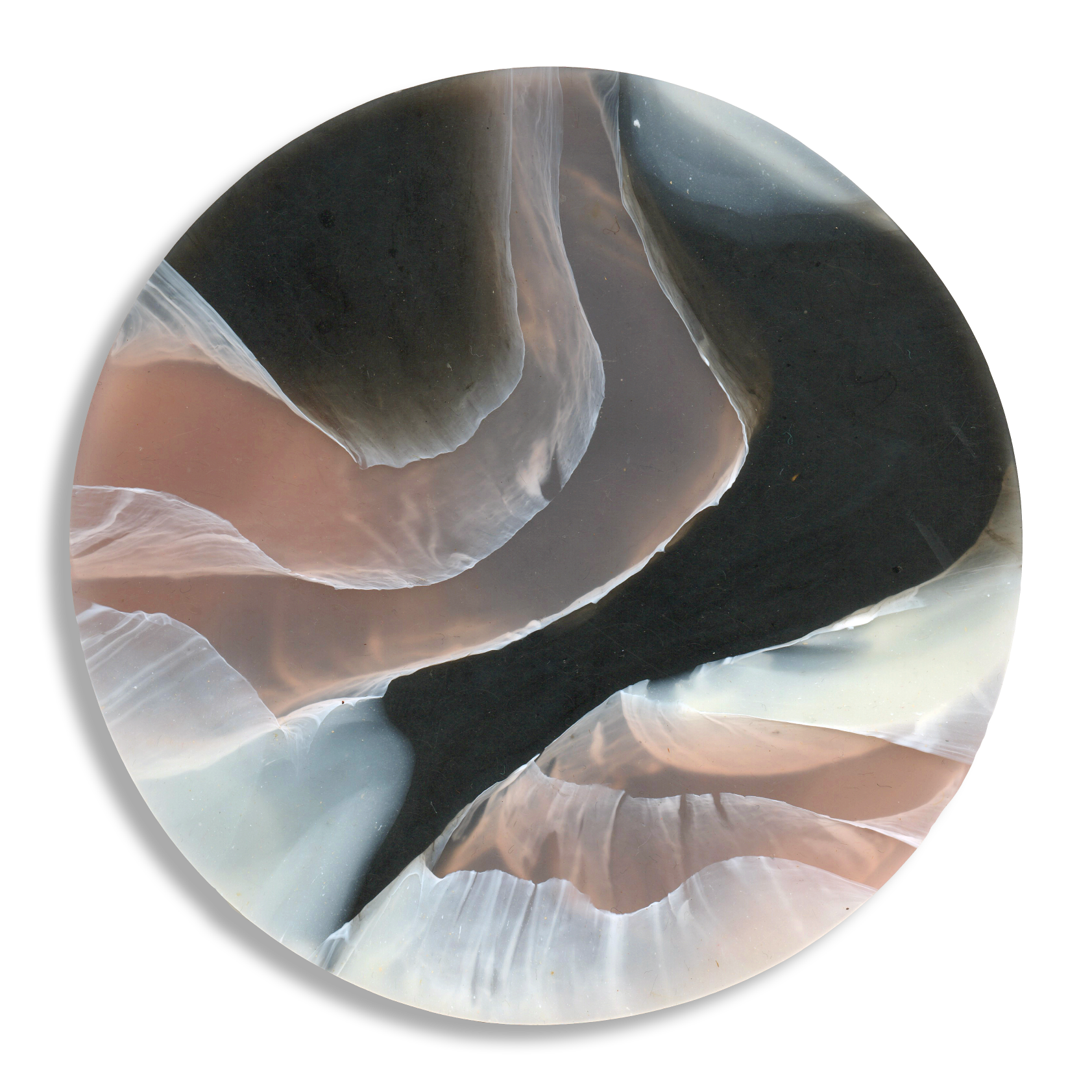 TORTOISESHELL ROSE QUARTZ 2.png