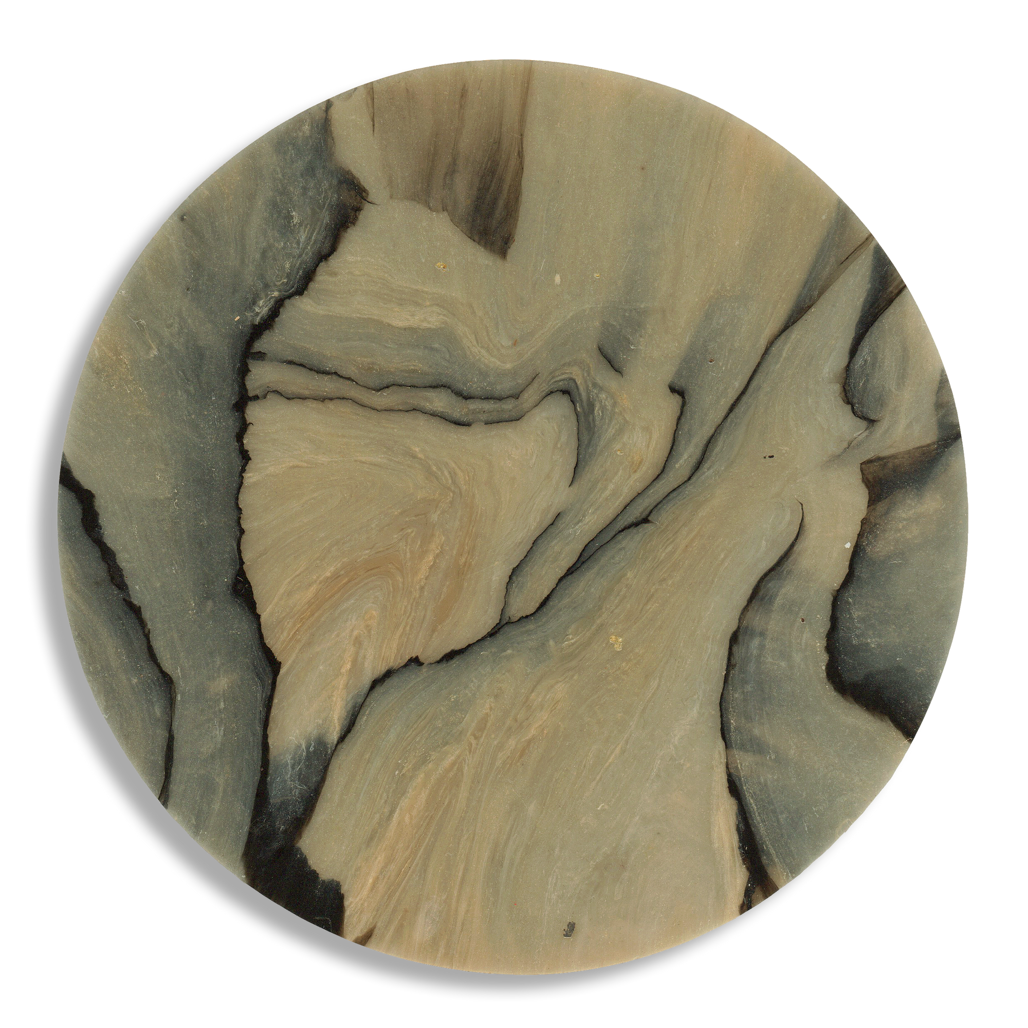 SPALTED BIRCH COASTER 3.png