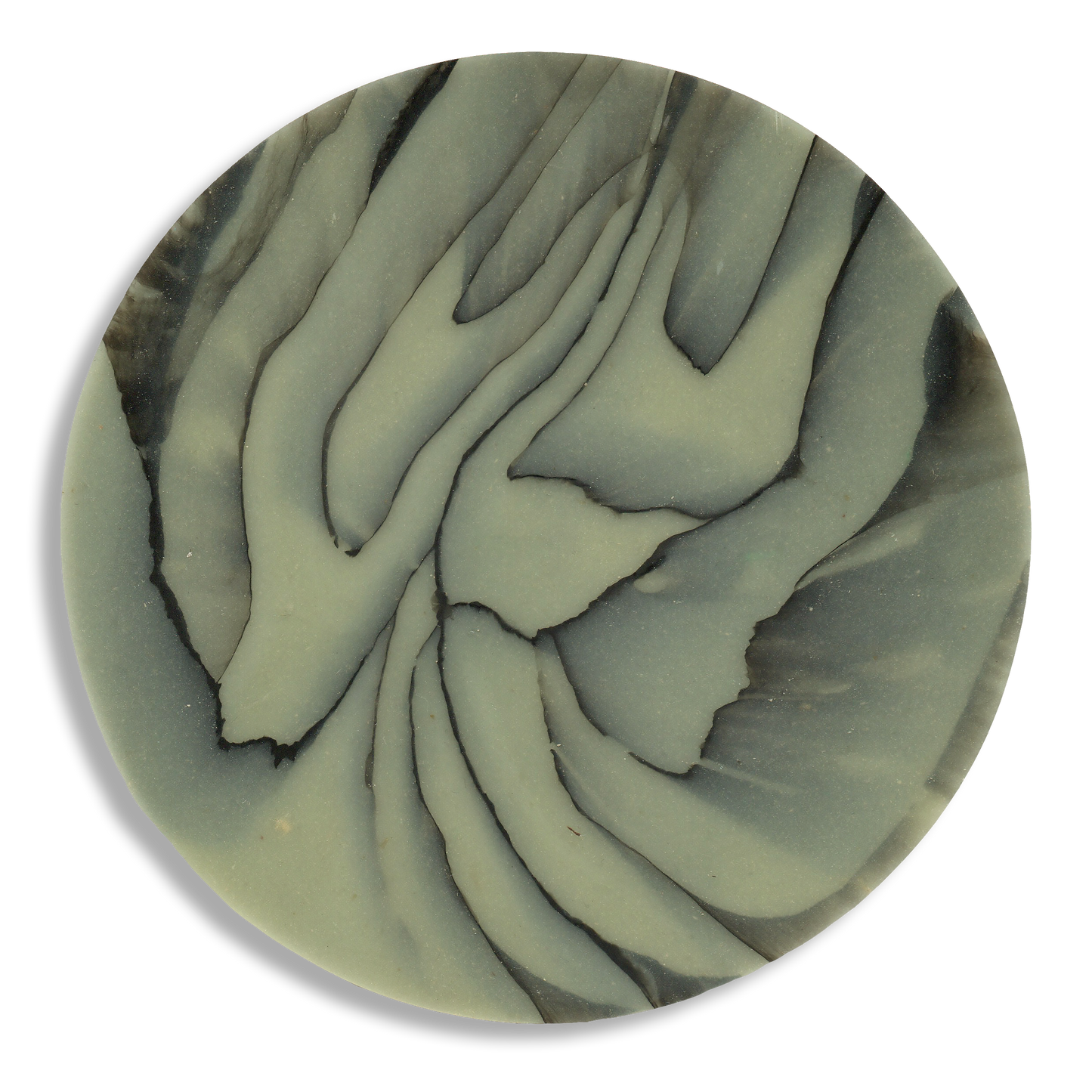 SPALTED WILLOW COASTER 3.png