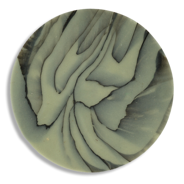 SPALTED WILLOW COASTER 3.png