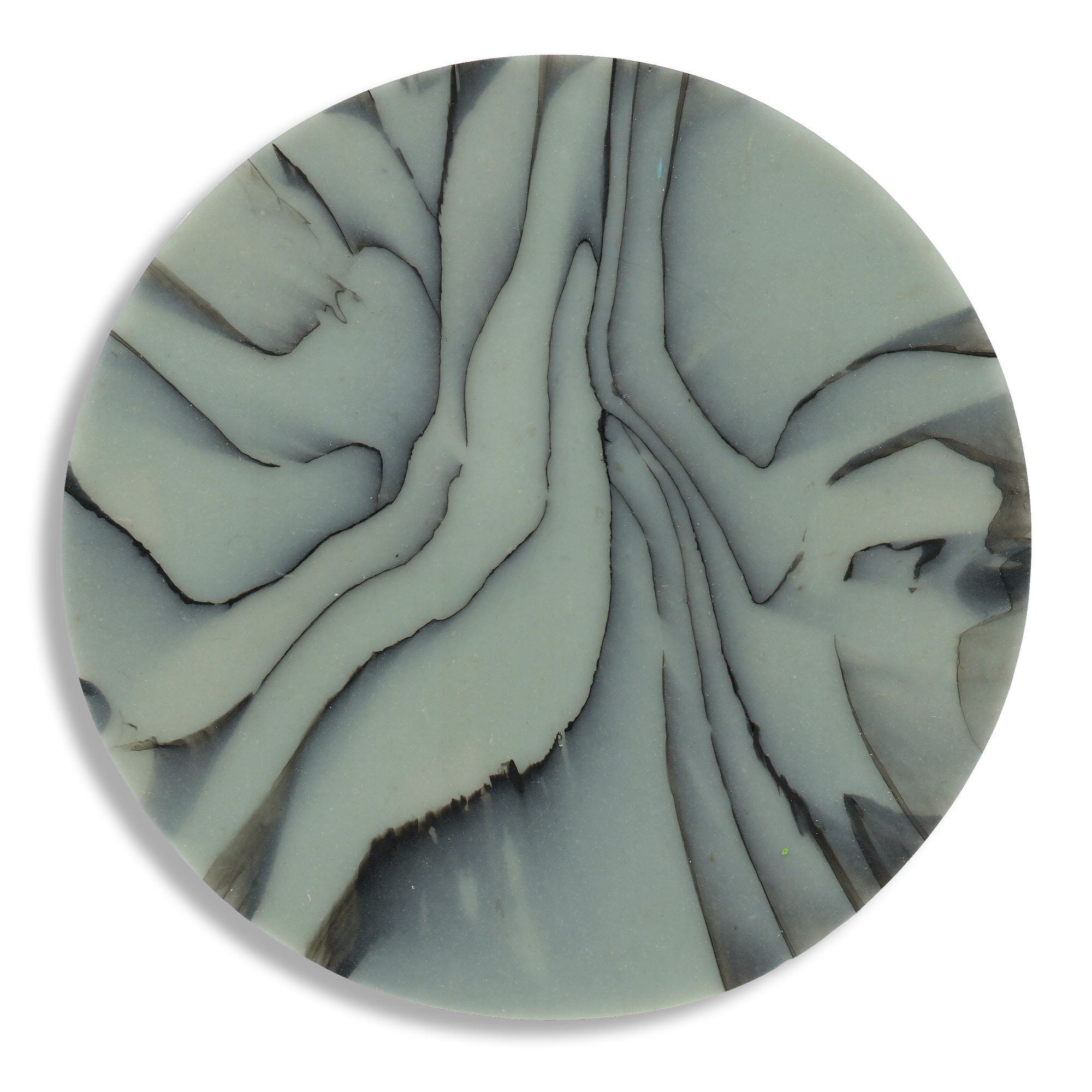 SPALTED ALPINE COASTER 2.png