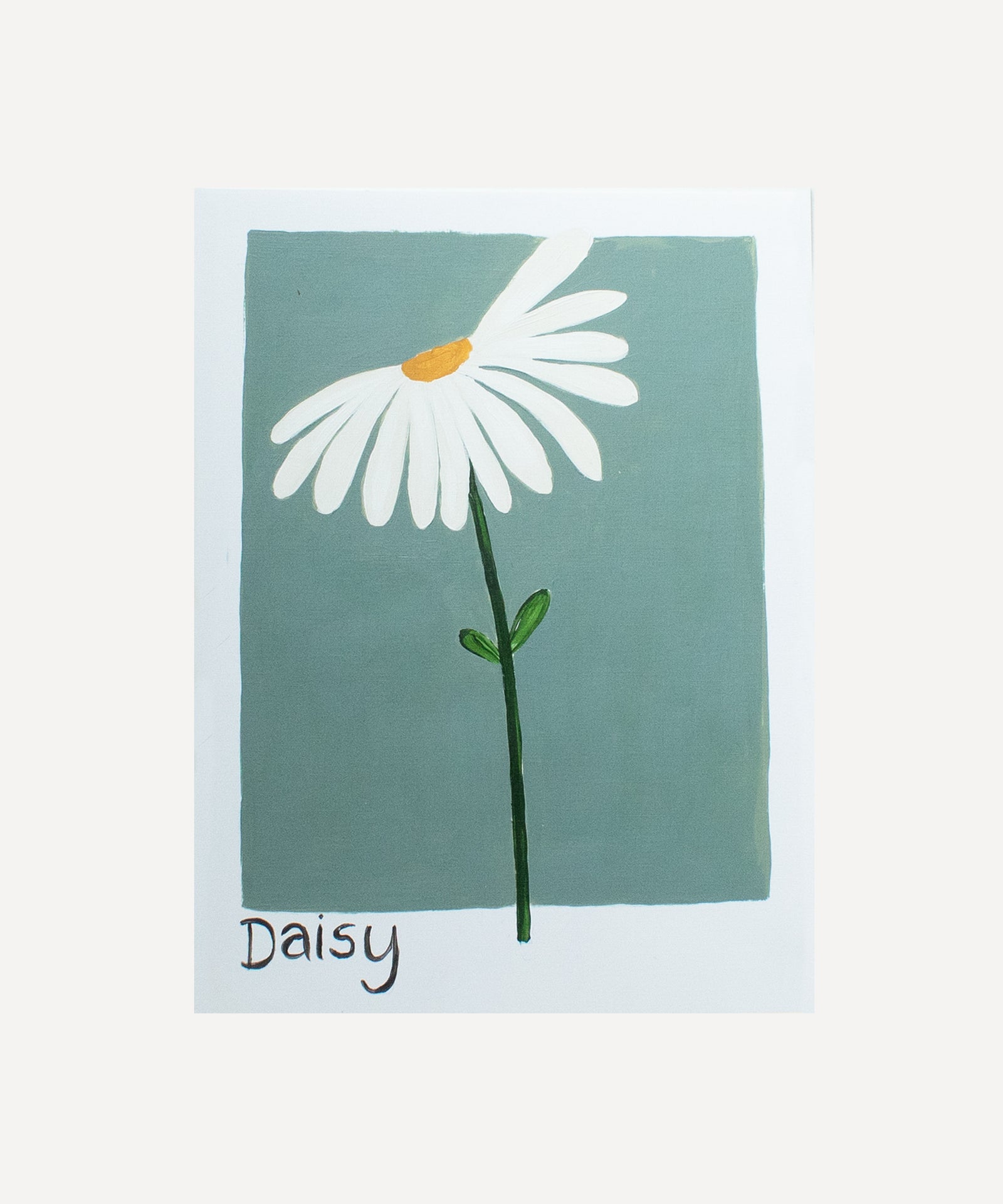 SINGLE DAISY 2.jpg
