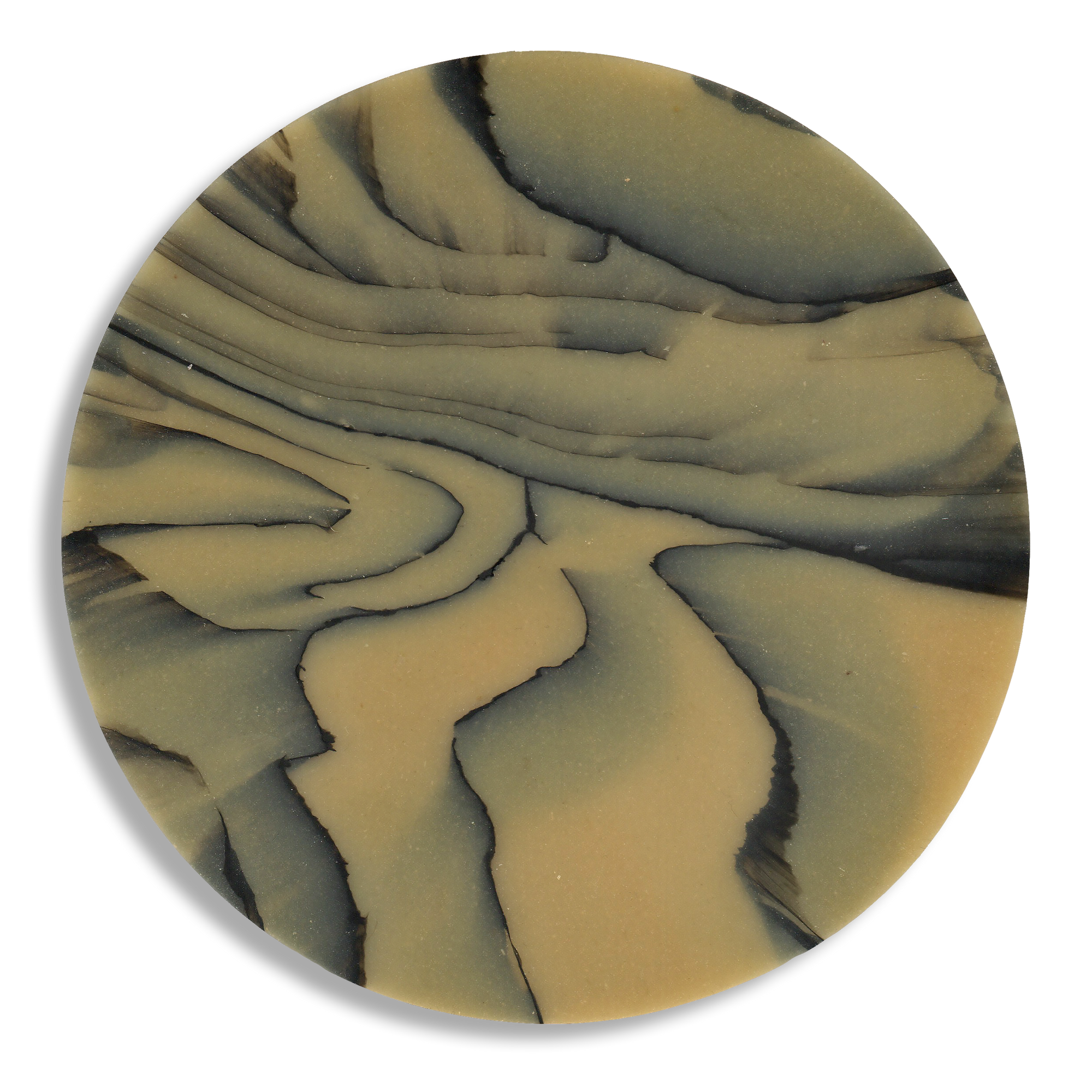 SPALTED HAZEL COASTER 3.png