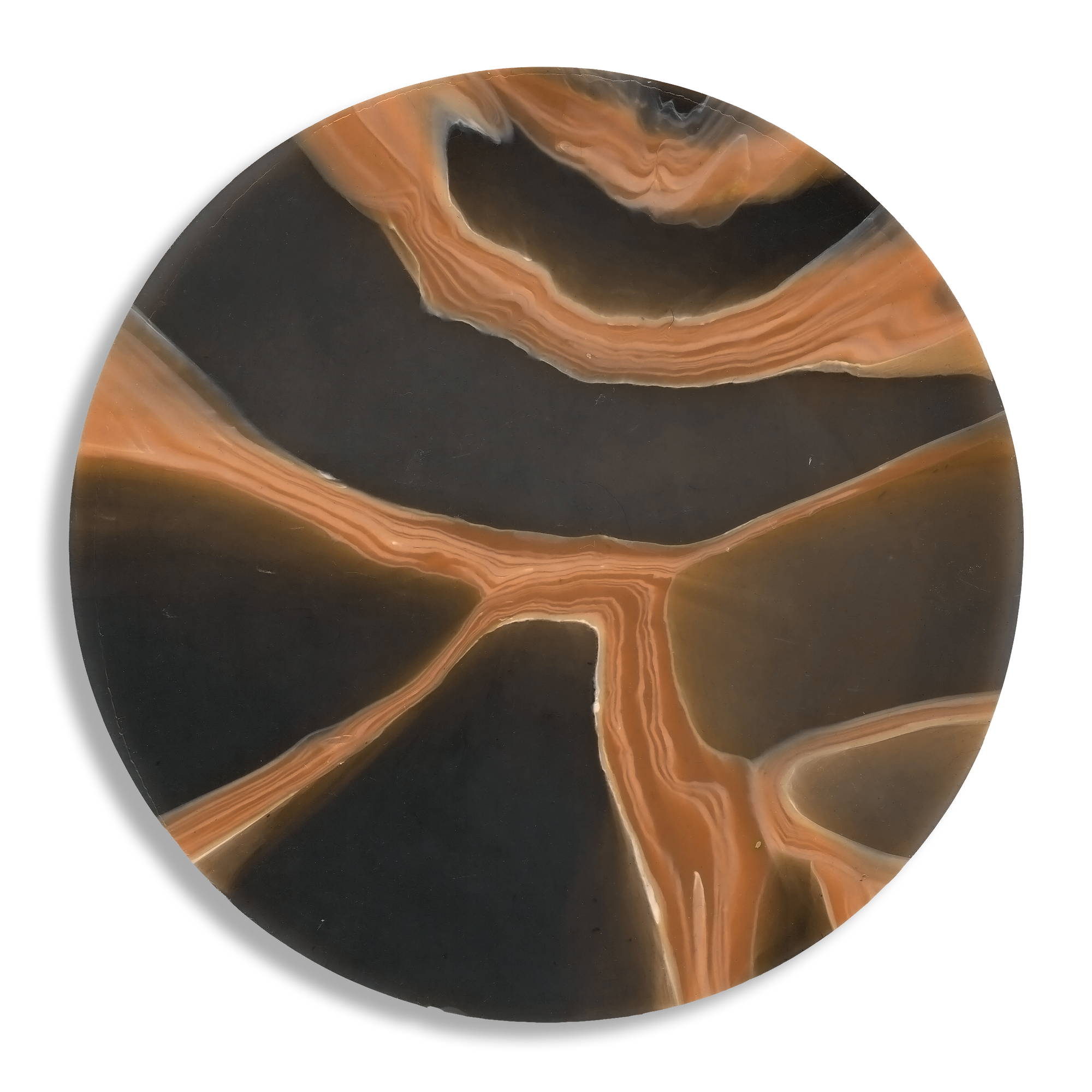 MYCELIUM TERRACOTTA 2.png