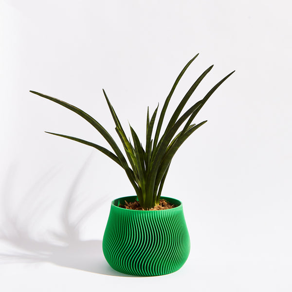 Groovy Pot- Bamboo Green