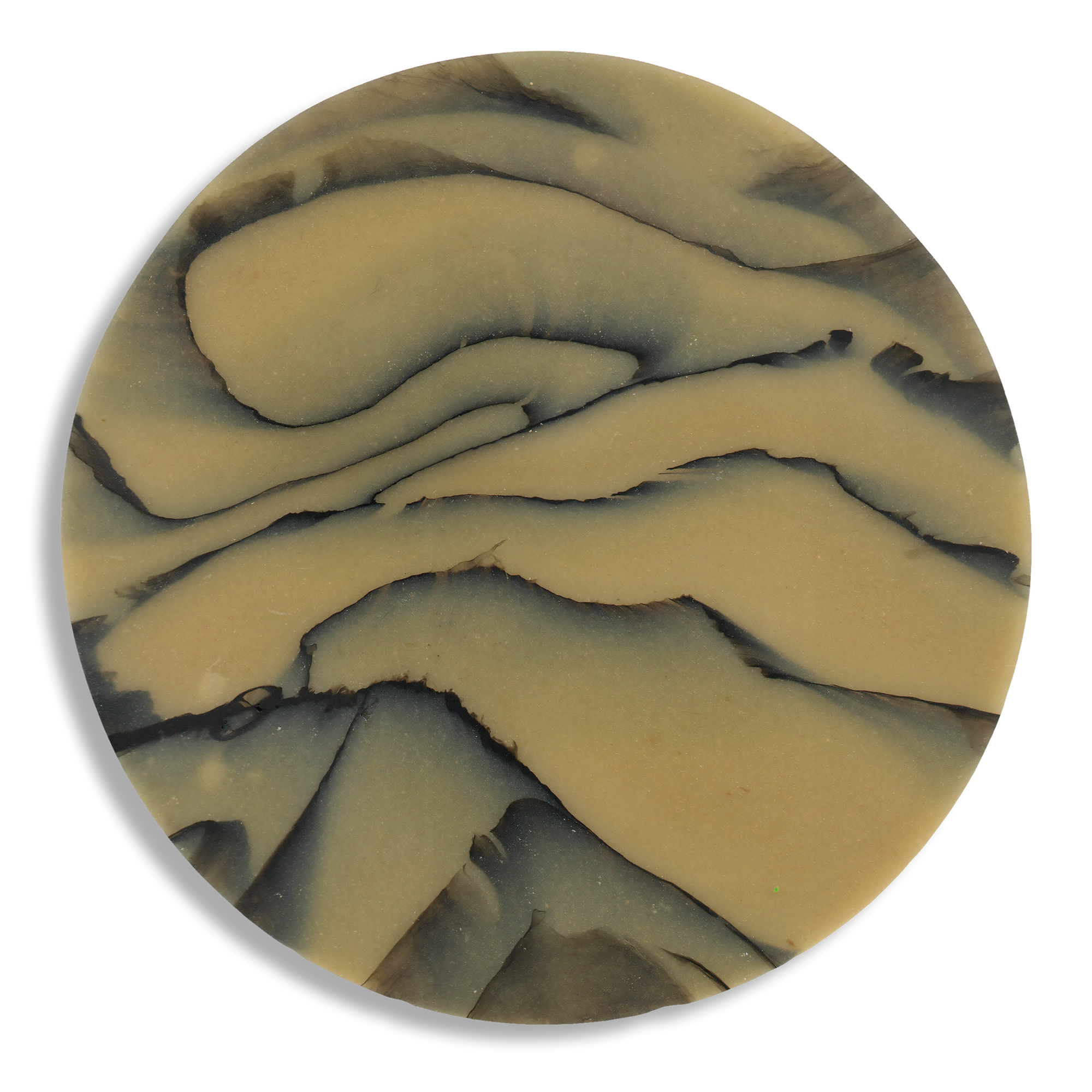 SPALTED HAZEL COASTER 2.png