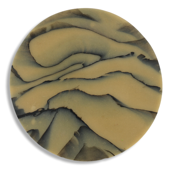 SPALTED HAZEL COASTER 2.png