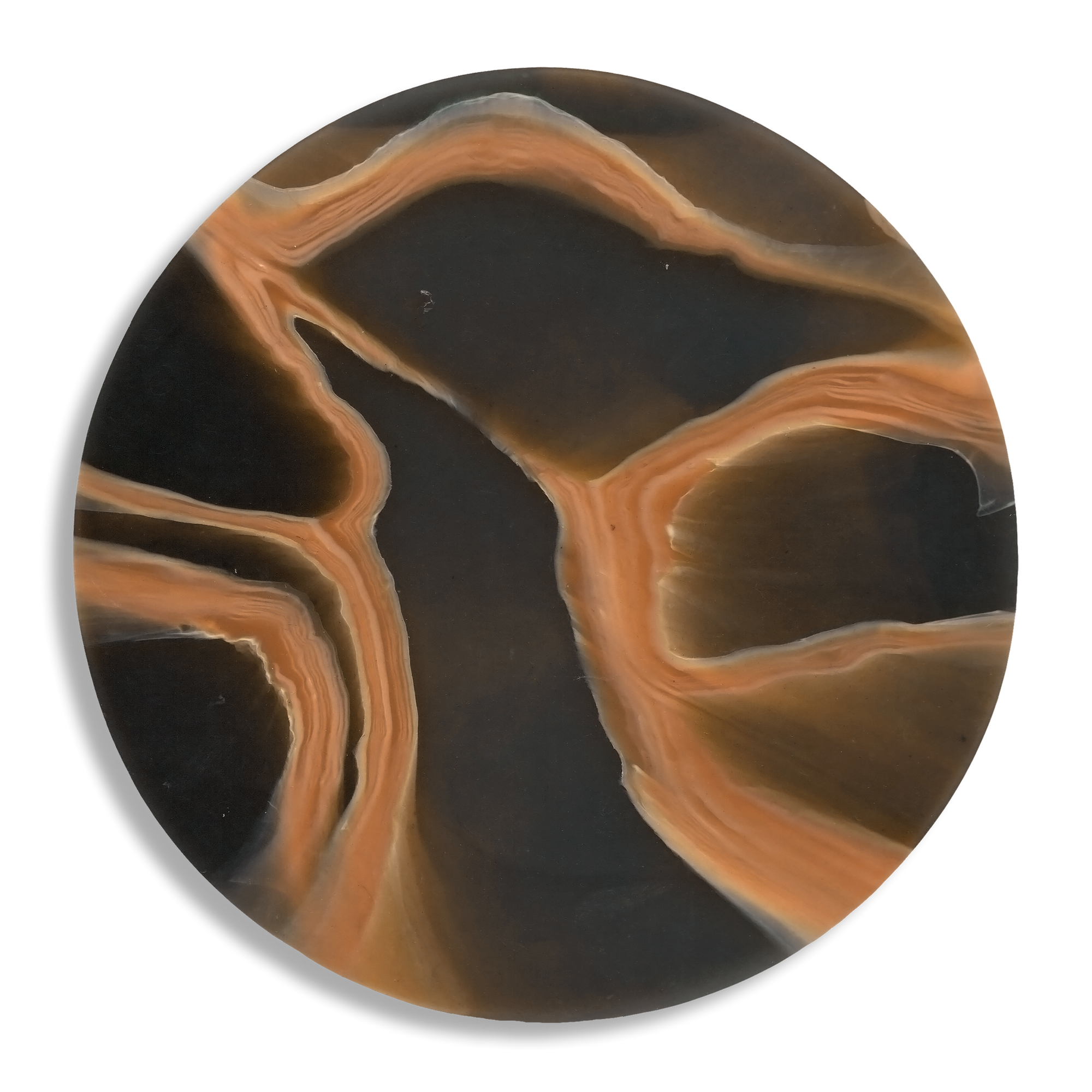 MYCELIUM TERRACOTTA 1.png
