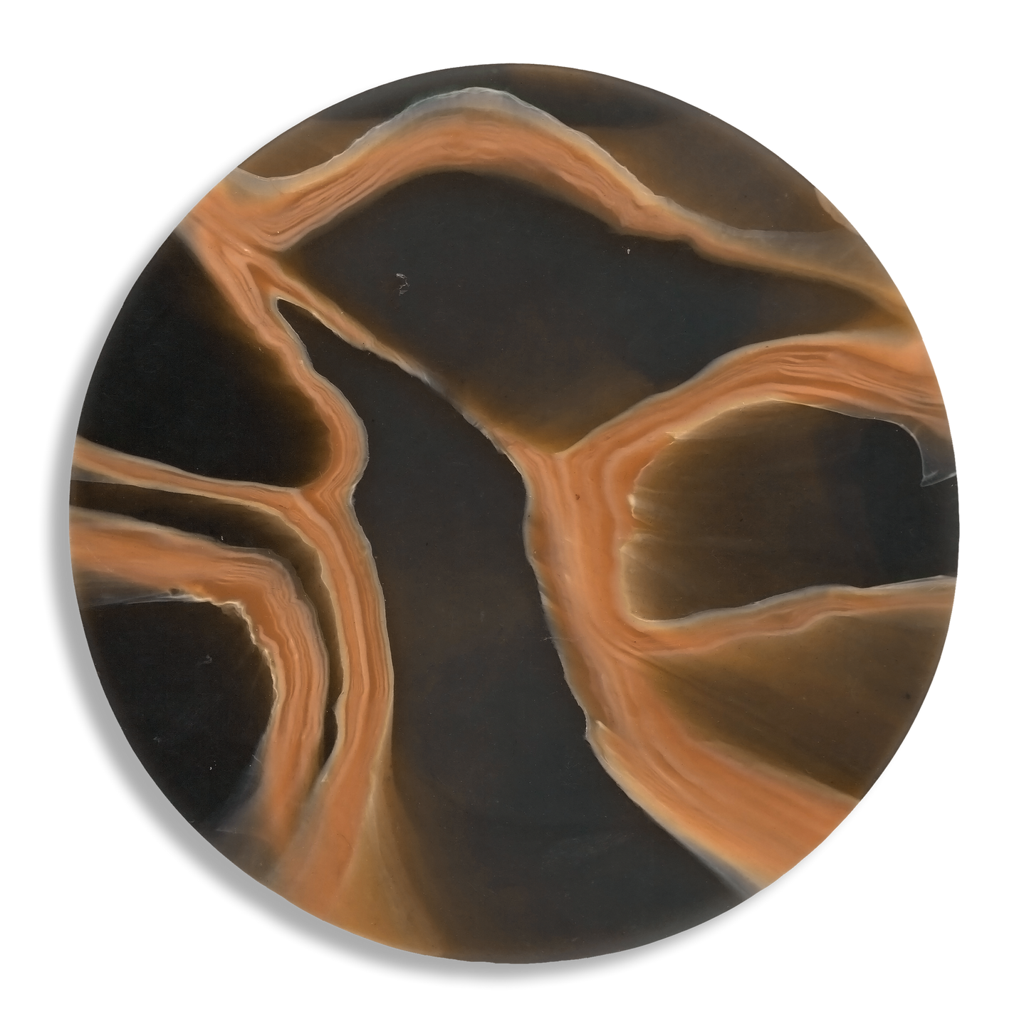 MYCELIUM TERRACOTTA 1.png
