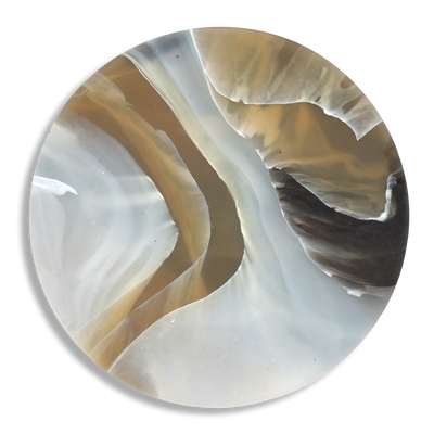 TORTOISESHELL CARAMEL 2.png