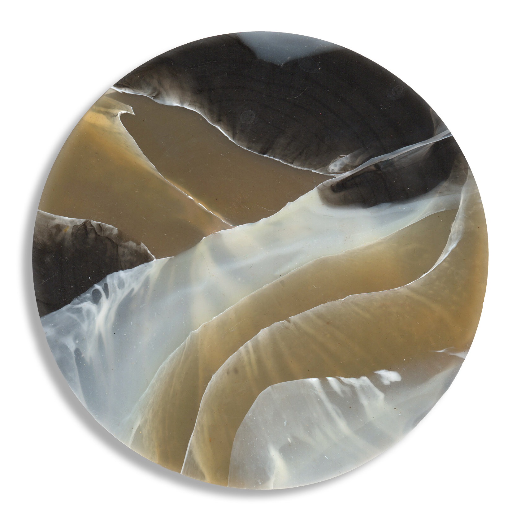 TORTOISESHELL CARAMEL 5.png