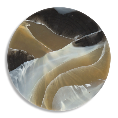 TORTOISESHELL CARAMEL 5.png