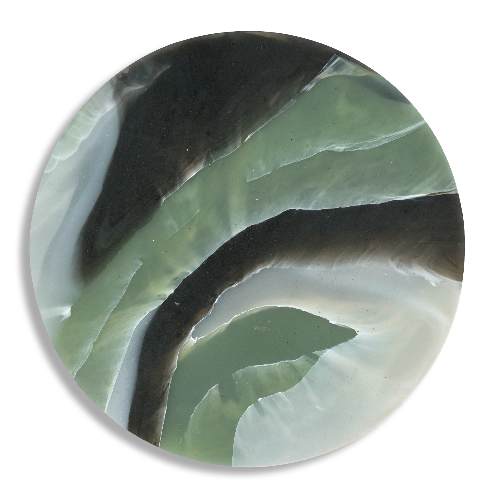TORTOISESHELL SAGE 4.png