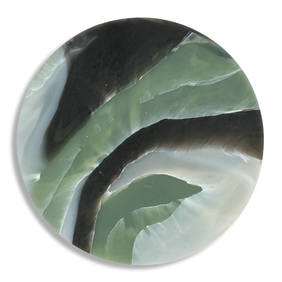 TORTOISESHELL SAGE 4.png