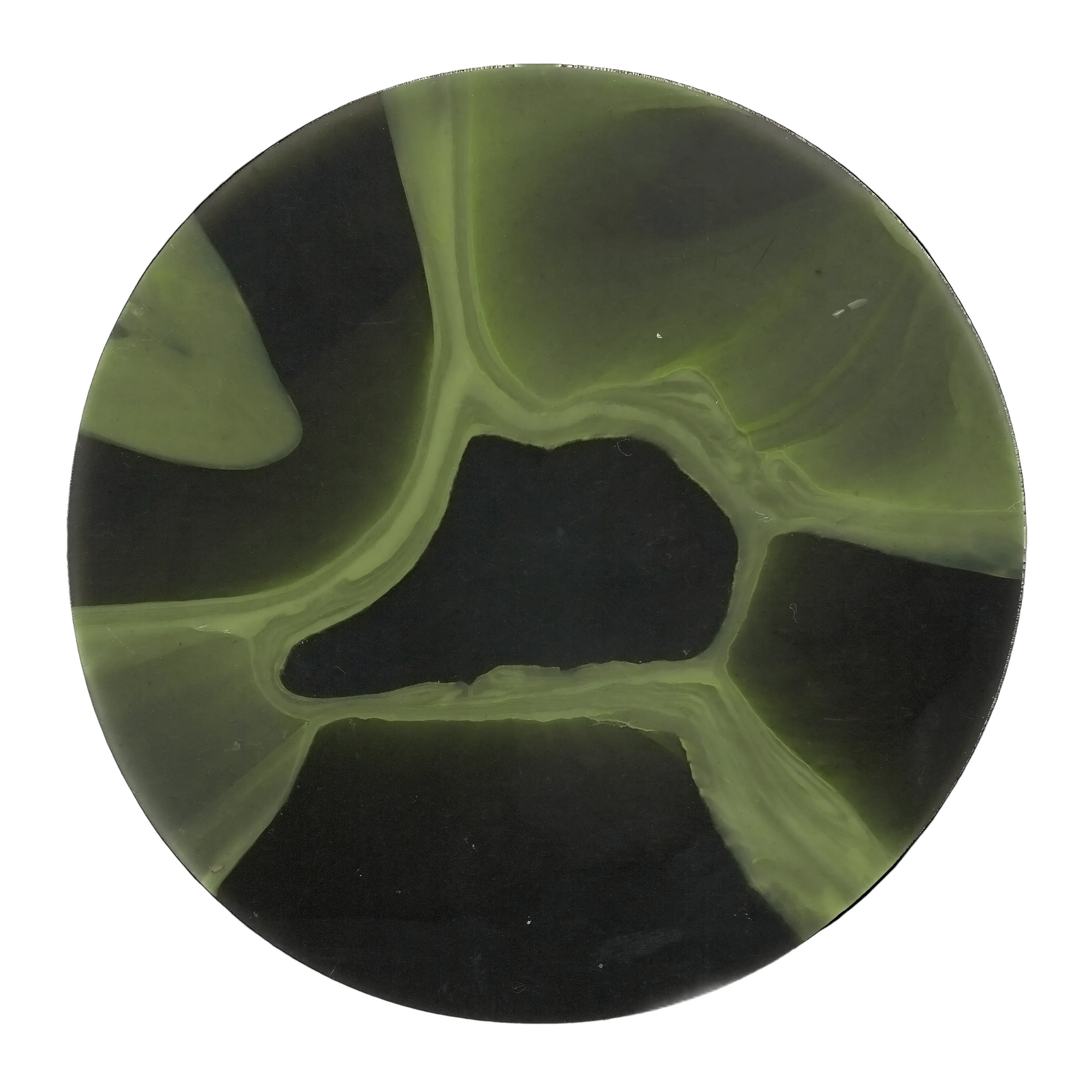 MYCELIUM GREEN 1.png