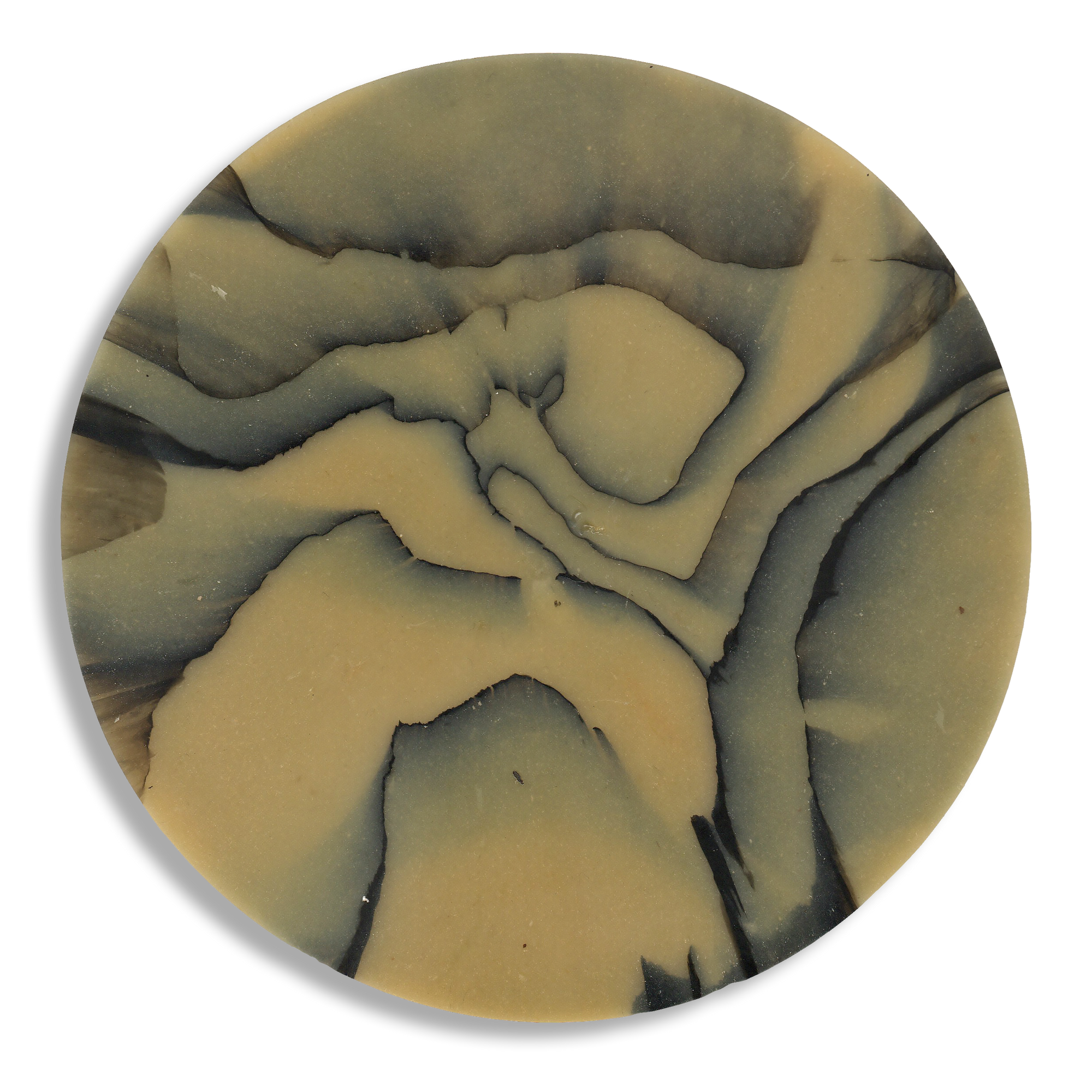 SPALTED HAZEL COASTER 1.png