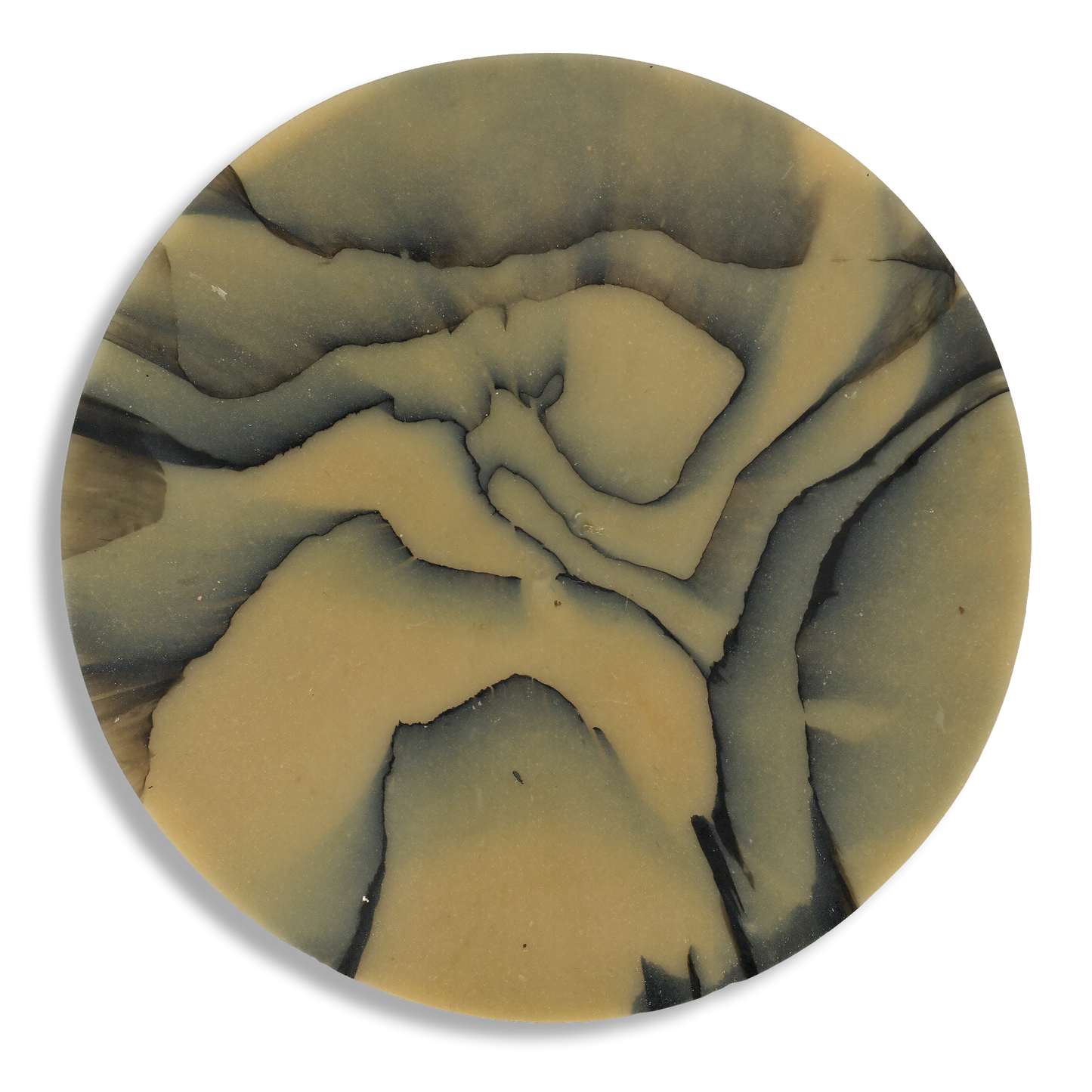 SPALTED HAZEL COASTER 1.png