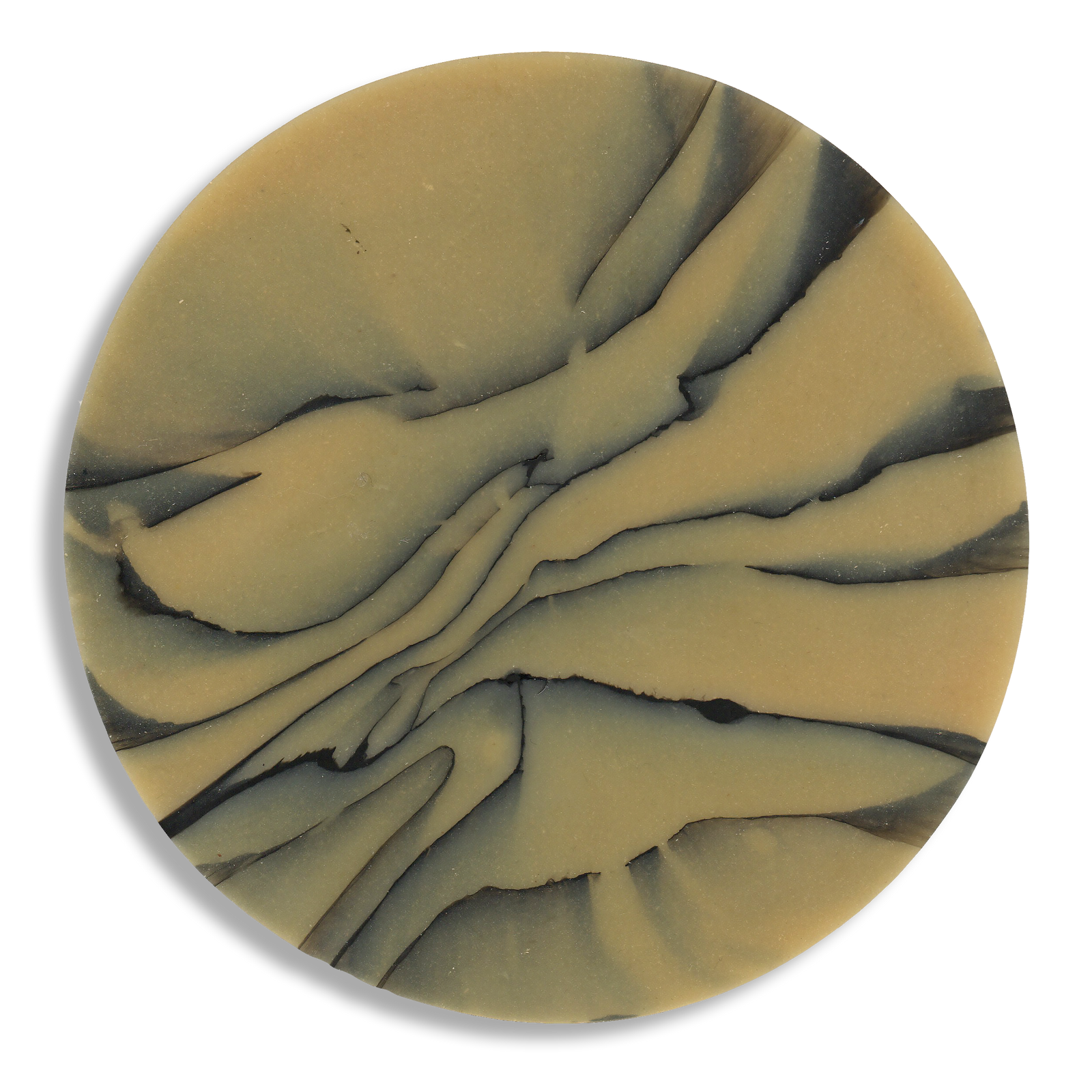 SPALTED HAZEL COASTER 5.png