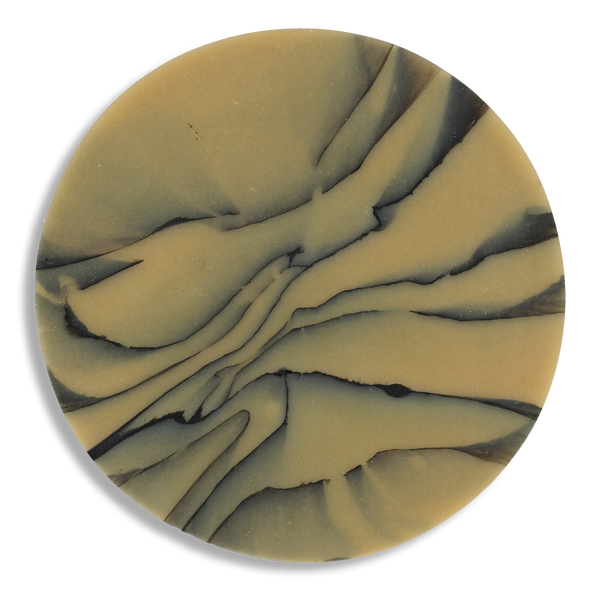SPALTED HAZEL COASTER 5.png