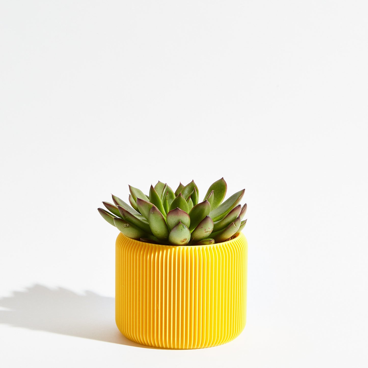 Turbin Pot - Banana Yellow