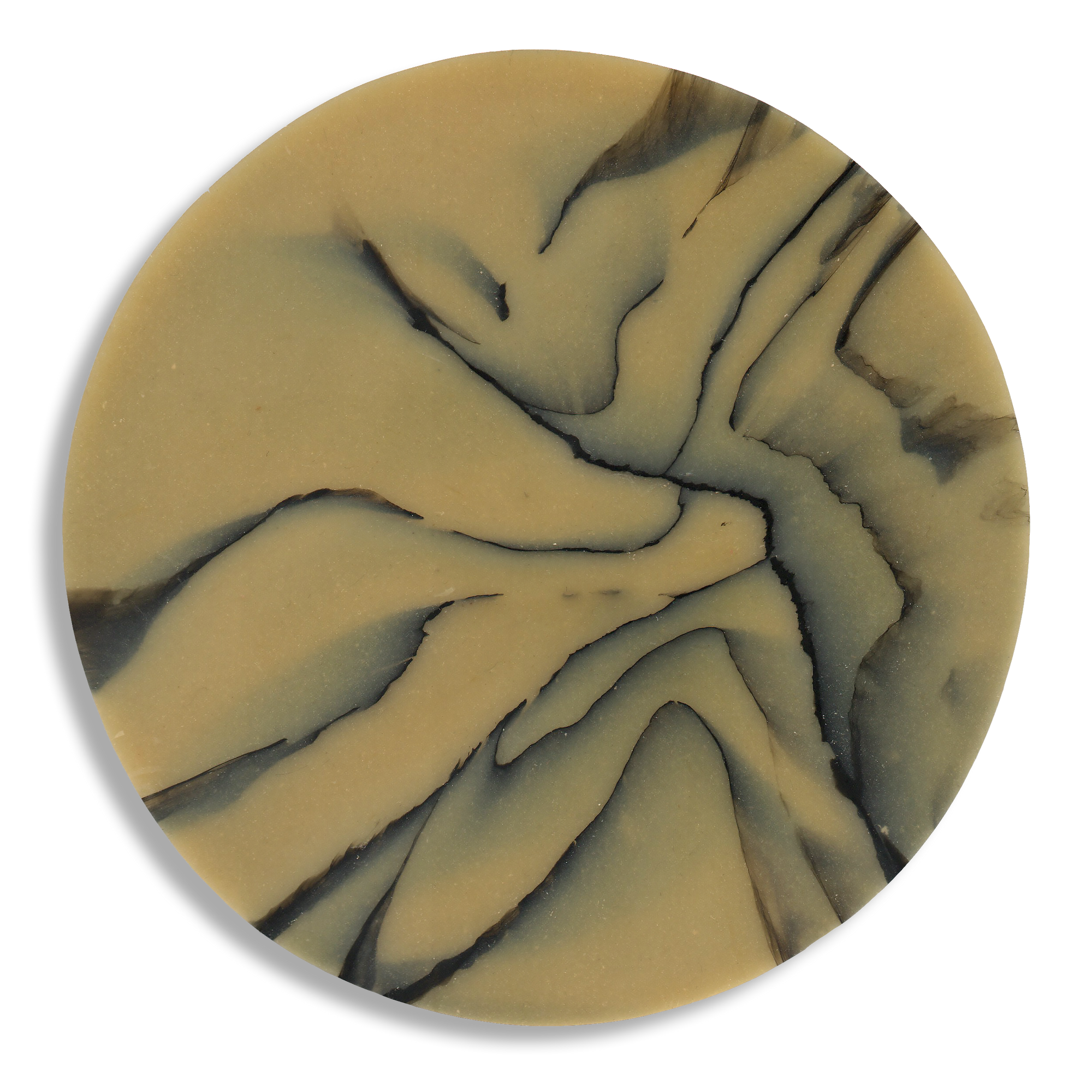 SPALTED HAZEL COASTER 4.png