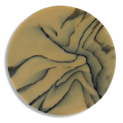 SPALTED HAZEL COASTER 4.png