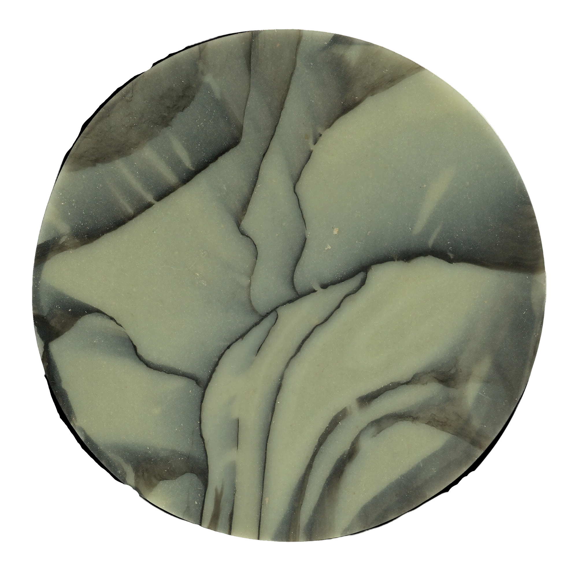 SPALTED WILLOW COASTER 5.png
