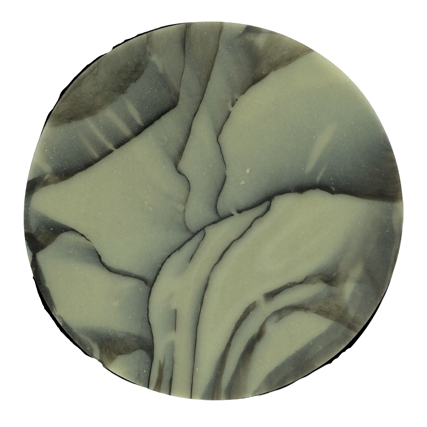 SPALTED WILLOW COASTER 5.png