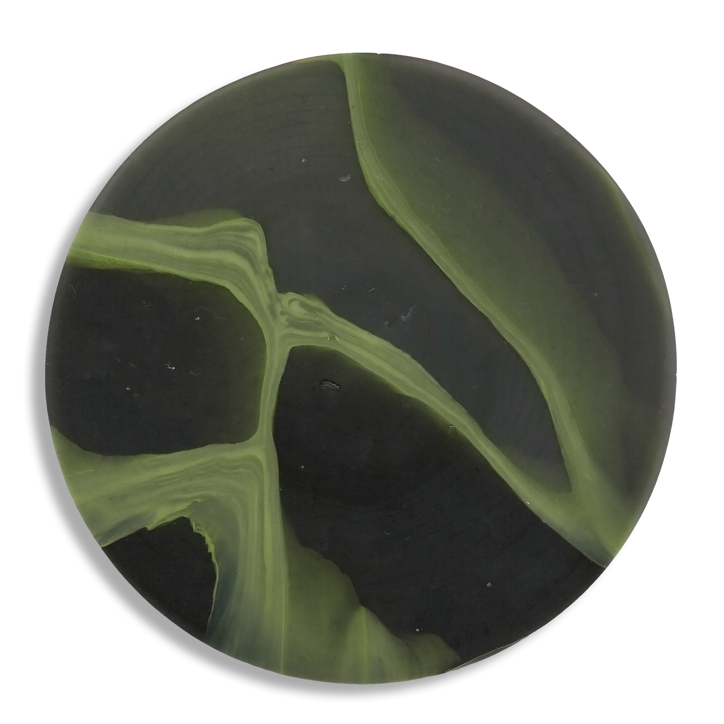 MYCELIUM GREEN 6.png