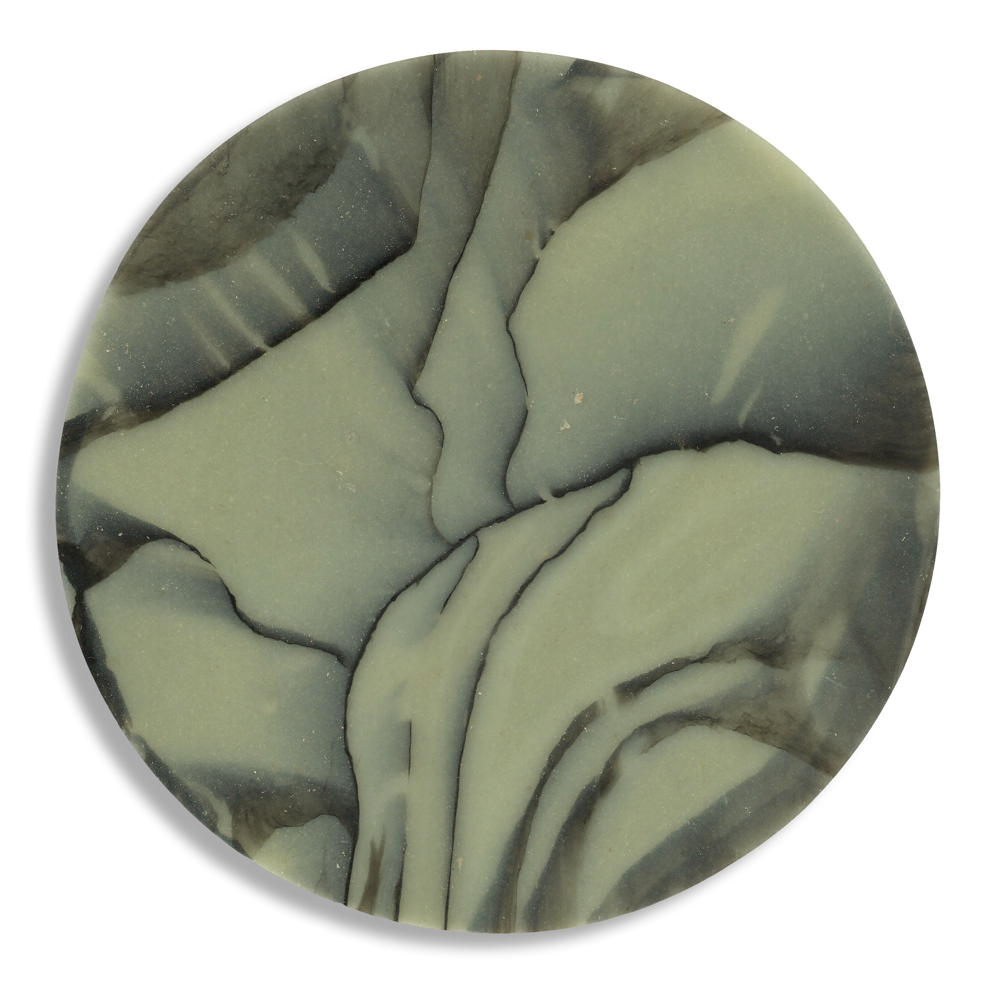 SPALTED WILLOW COASTER 5.png