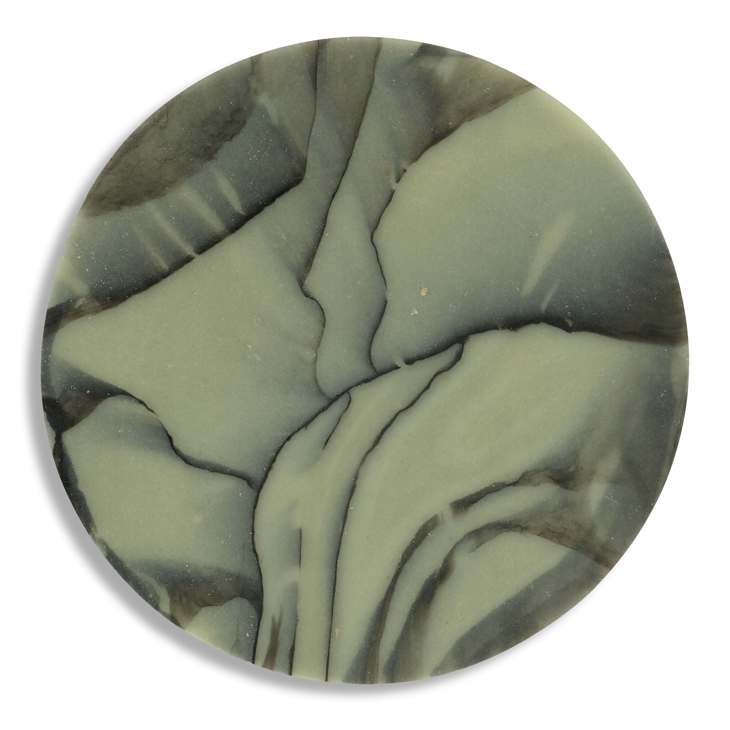 SPALTED WILLOW COASTER 5.png