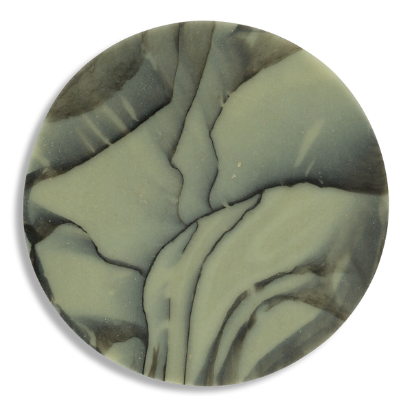 SPALTED WILLOW COASTER 5.png