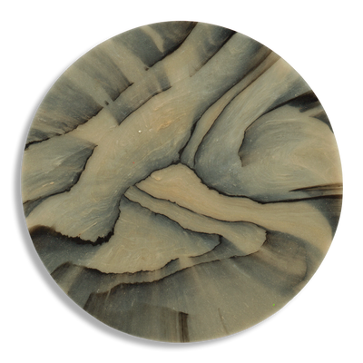 SPALTED BIRCH COASTER 2.png