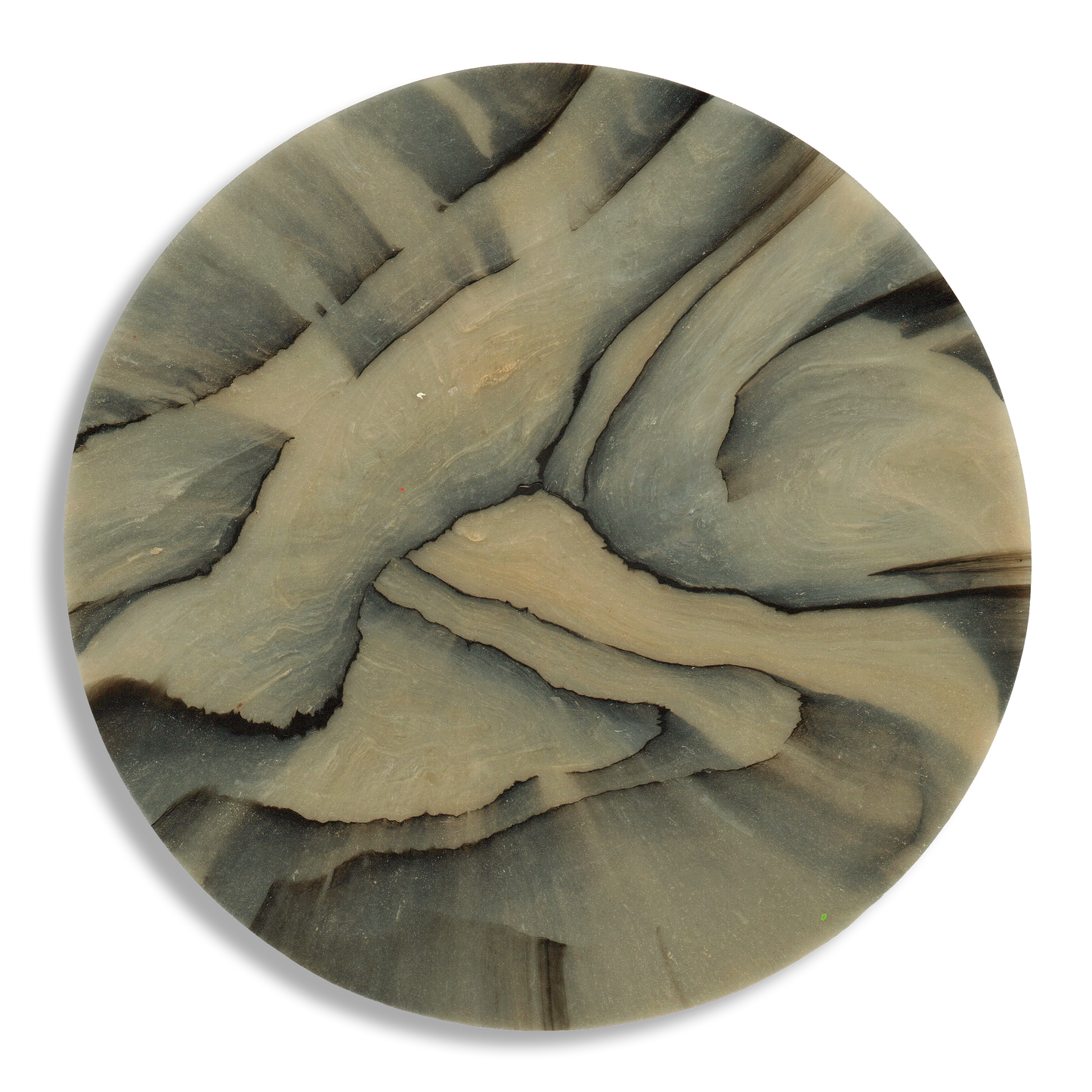 SPALTED BIRCH COASTER 2.png